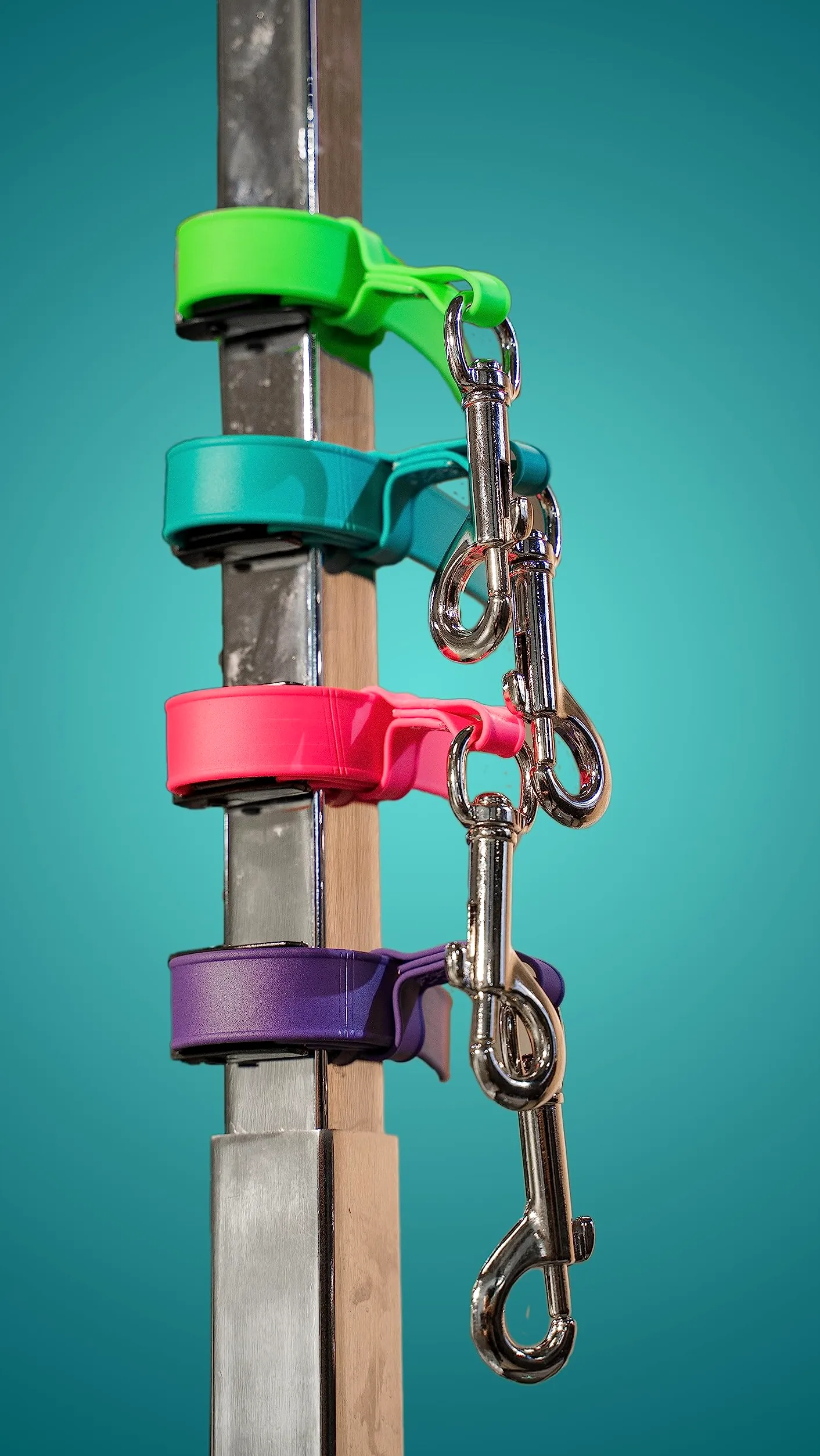 Jelly Pet Correa de seguridad para perros, fabricada en los Estados Unidos, para el aseo de mascotas (verde azulado)