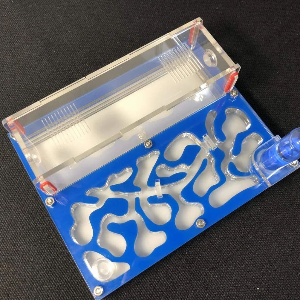 Formicarium Educativo para Granja de Hormigas para Tubo de ensayo de Hormigas en Vivo Humedad Gran Espacio Nido de Hormigas de acrílico, Hormigas Insectos (Azul Cielo)