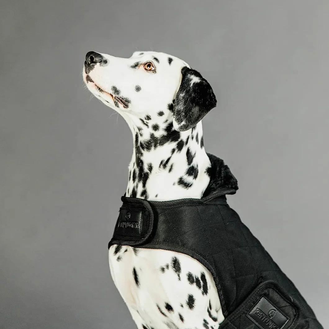 Kentucky Dogwear Abrigo para perros de 160 g, tamaño: XS, color: negro
