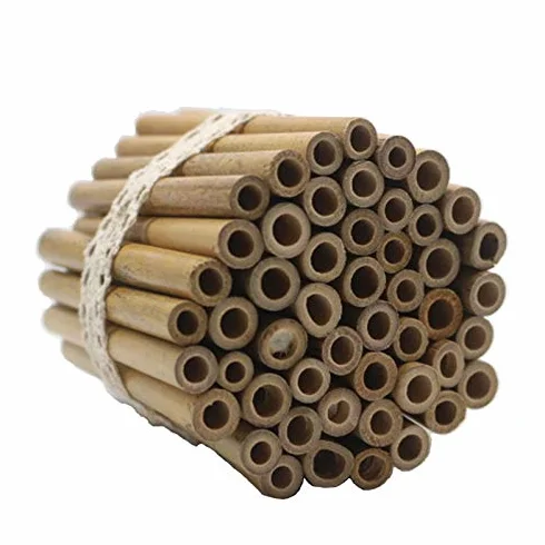50 tubos de bambú de 10 cm de longitud para construir uno mismo, reutilizables, para casa de insectos, hotel de abejas silvestres, abejas silvestres, hotel de abejas silvestres