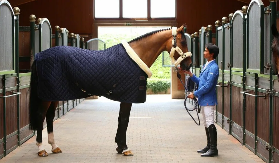 kentucky Horse Protectora de Torneo, Talla 155 Navy