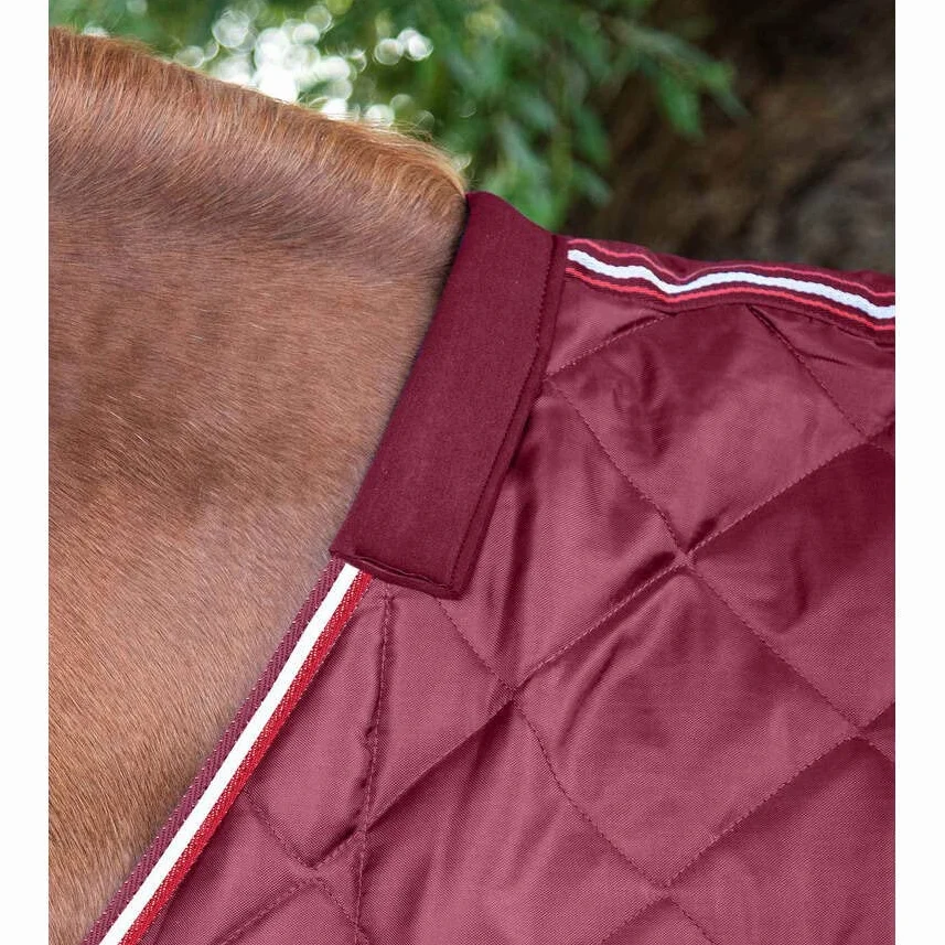 Premier Equine Manta de establo para Caballo Tuscan 100 g