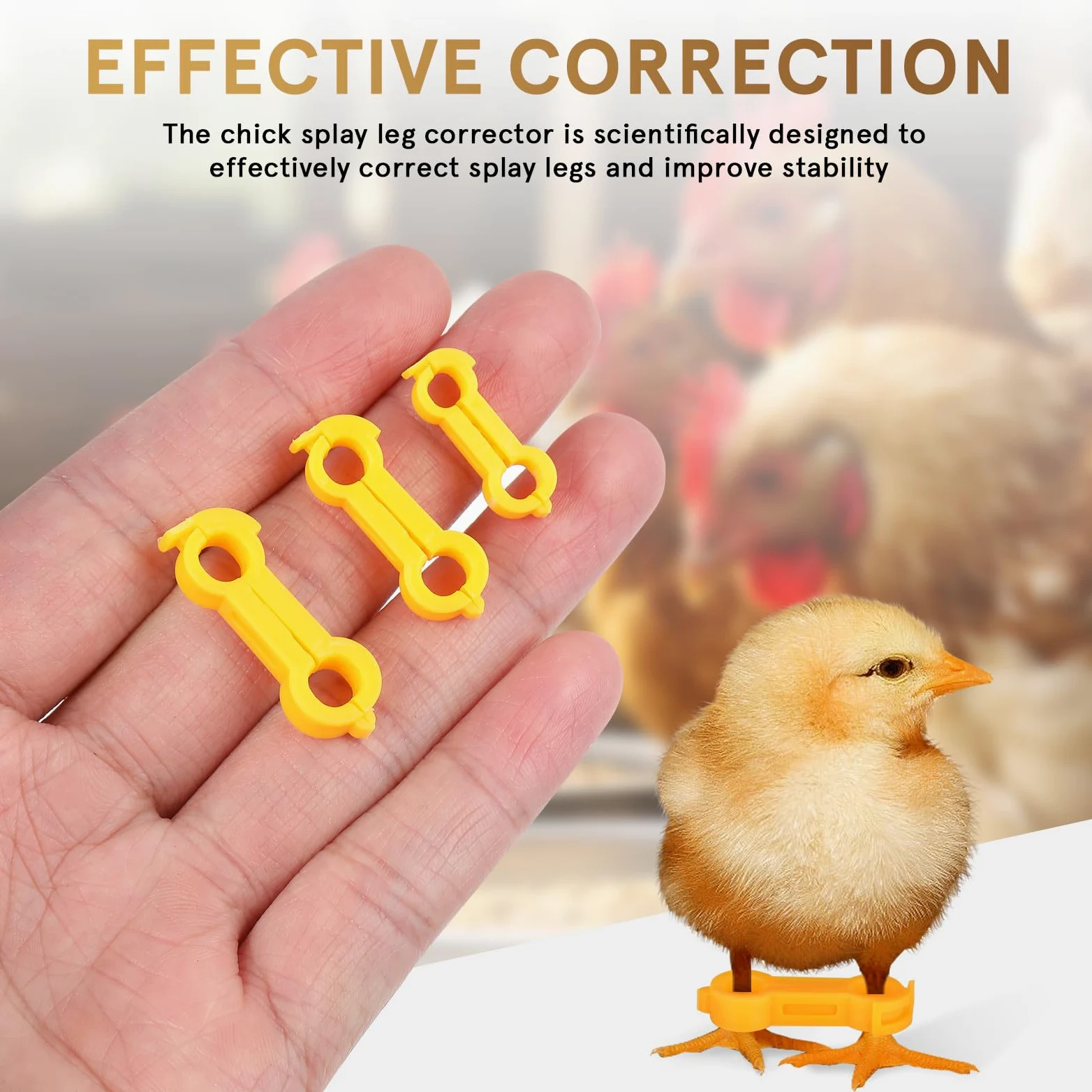 TEHAUX Bandas Correctoras para Patas de Pollitos y Aves, Anillos de PVC de Diferentes Tamaños, Sujeción Segura Crecimiento Saludable, Paquete de 12 Unidades Amarillas