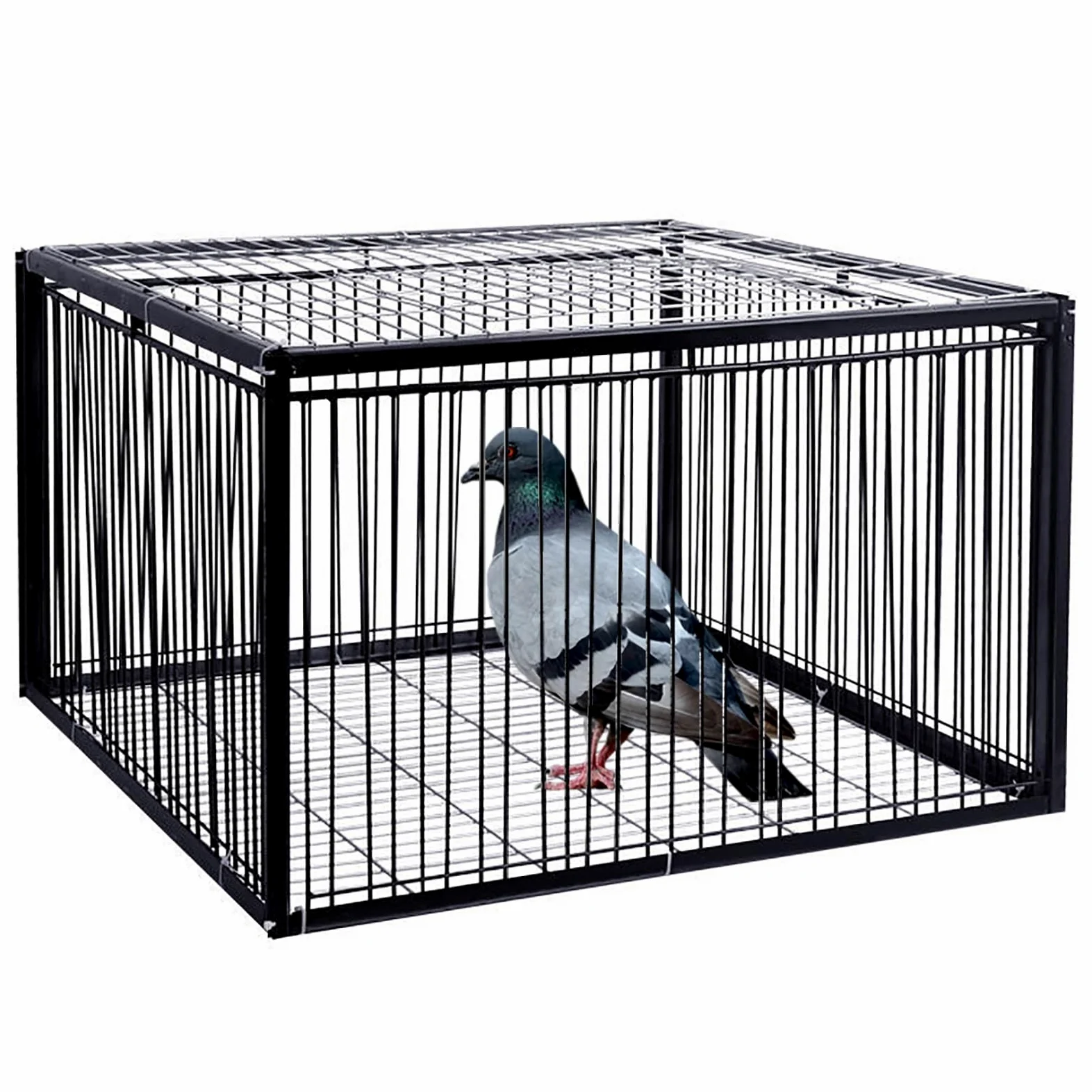 Trampa para Palomas con Diseño A Prueba De Escape, Jaulas Humanas para Animales Vivos, Jaula para Palomas con Entrada Unidireccional, Jaula para Trampa para Pollos Y Pájaros, Fácil Montaje (Si