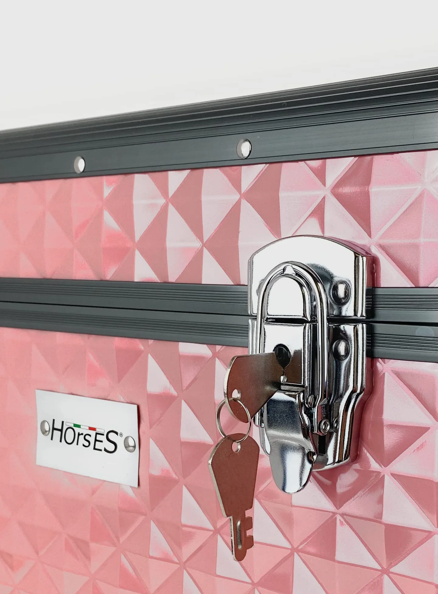 Horses, Baúl Shiny para el cuidado del caballo, caja porta accesorios para el aseo ecuestre, porta kit de cepillos, caja de aluminio 30 x 38 x 26 cm, rosa