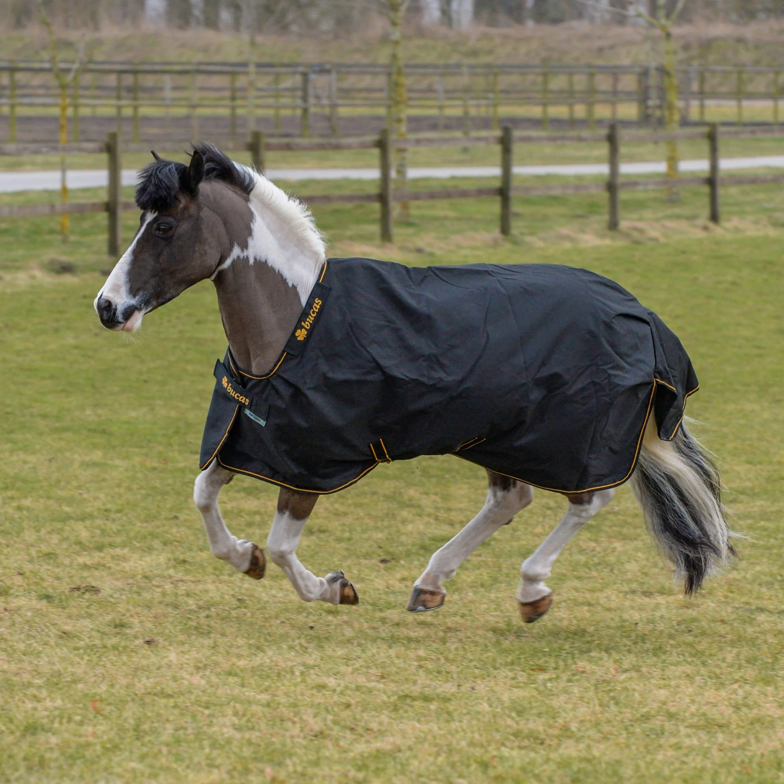 Bucas IrishTurnout - Manta para Caballo, 300 g, 165 SW/Gold