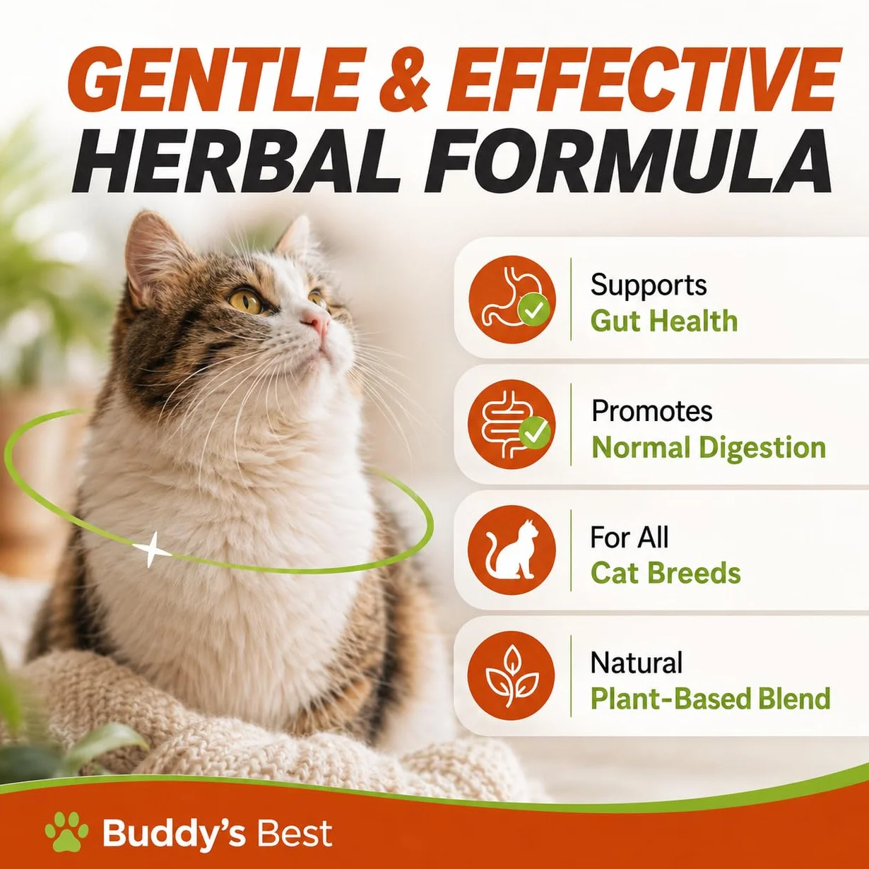BUDDY'S BEST Desparasitante Natural para Gatos