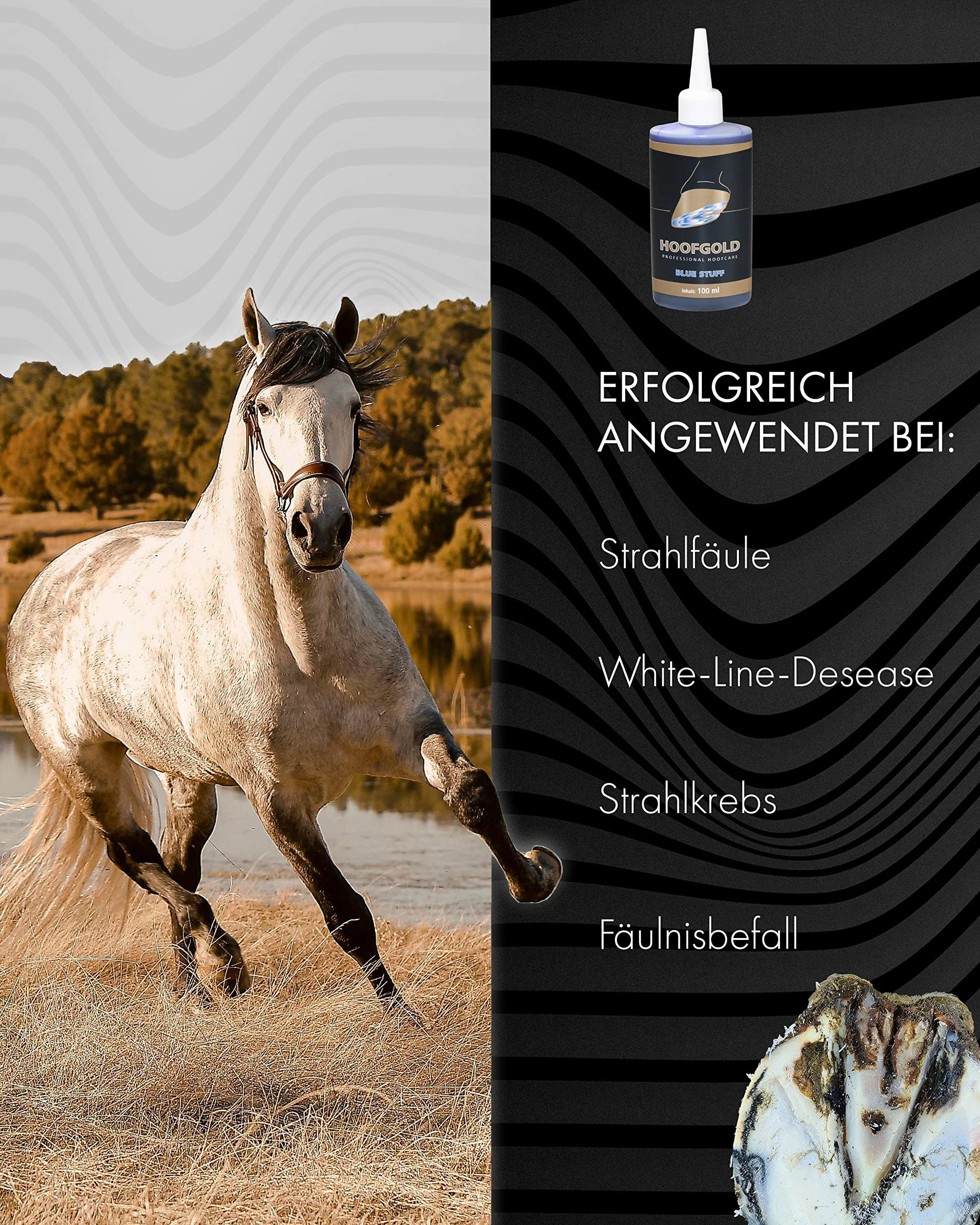 BlueStuff – Agente de tratamiento altamente eficaz contra la putrefacción del rayo y la enfermedad de la línea blanca en caballos – Ayuda inmediata para cascos malolientes y blandos