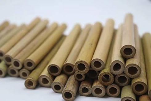 50 tubos de bambú de 10 cm de longitud para construir uno mismo, reutilizables, para casa de insectos, hotel de abejas silvestres, abejas silvestres, hotel de abejas silvestres