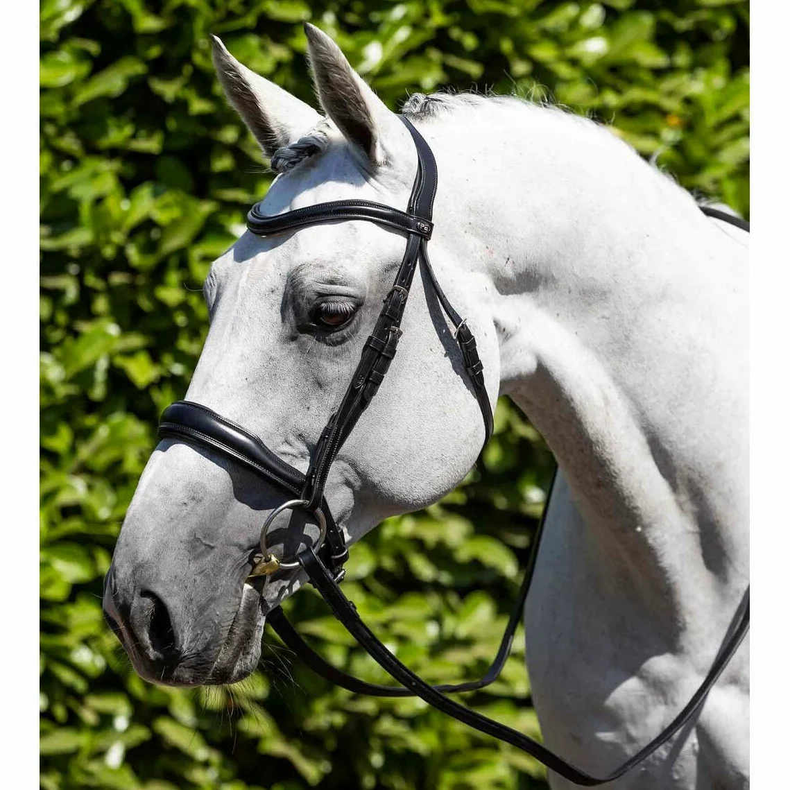 Premier Equine Verdura Anatomic Snaffle Bridle, color negro extra completo