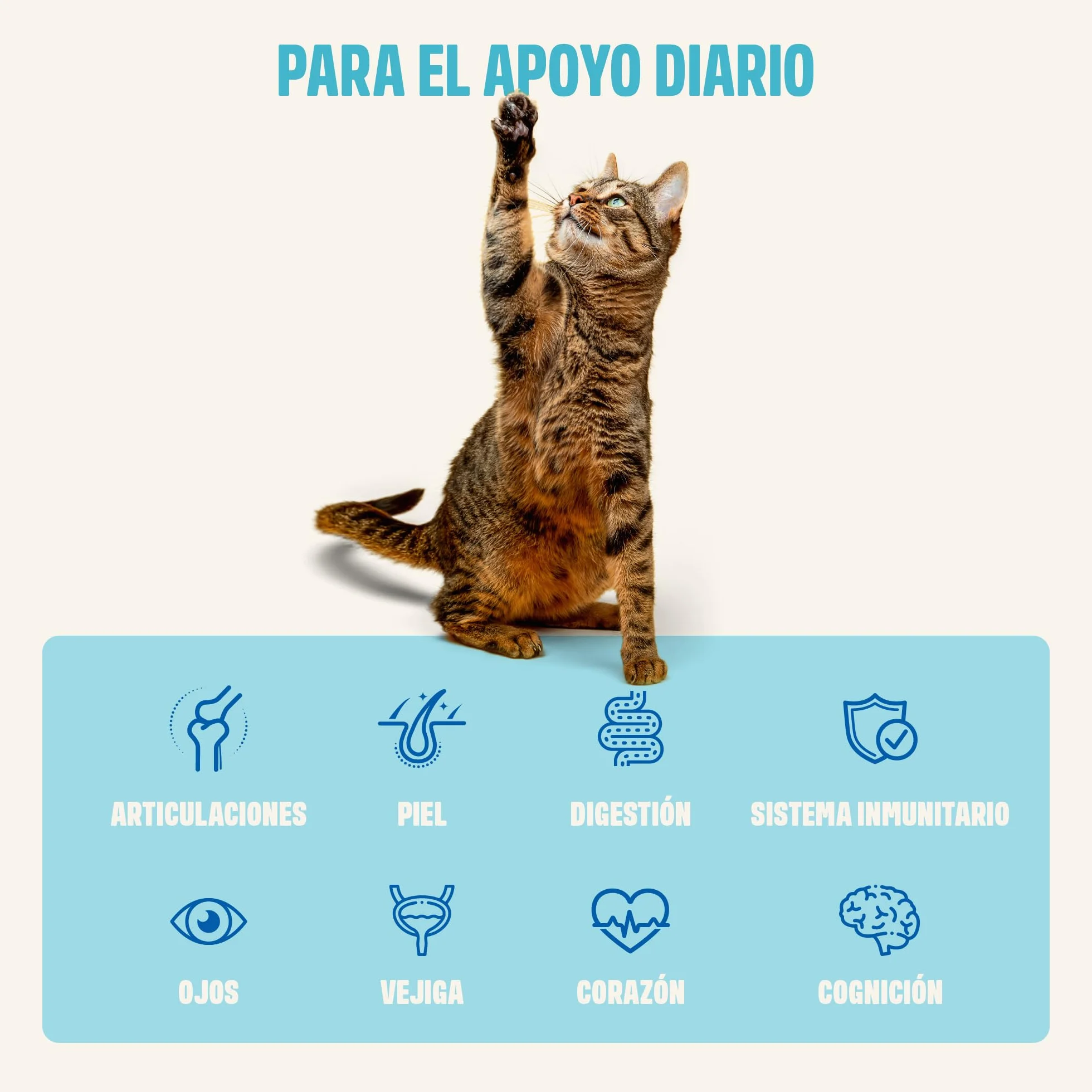 ivvi Esencia Multivitamínica para Gatos – Snack Cremoso con Atún Real – con Vitaminas B, Vitaminas A, D3 y E, Biotina, L-lisina, Magnesio y Mejillón de Labio Verde – 30 x 15 g