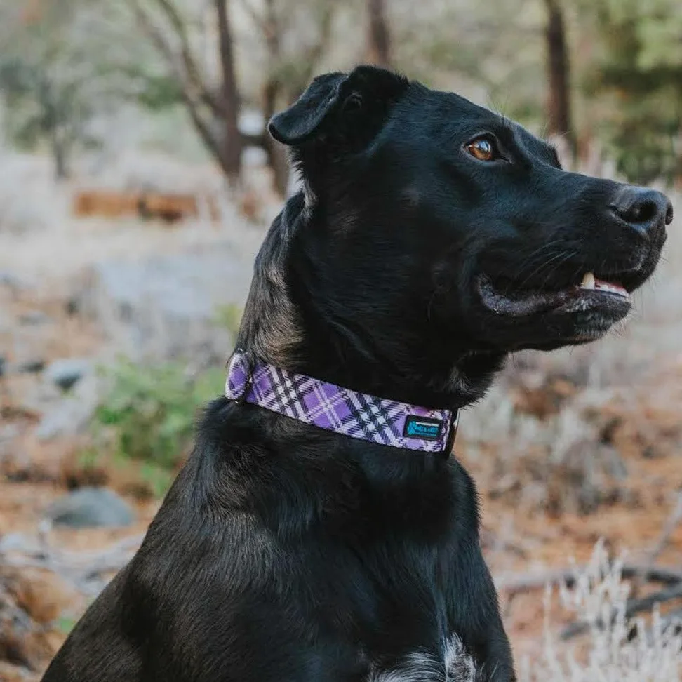 Collar de Perro de Neo con patrón de Placa MAX y Neo – Donamos un Collar a un Perro Rescate Cada Collar se Vende