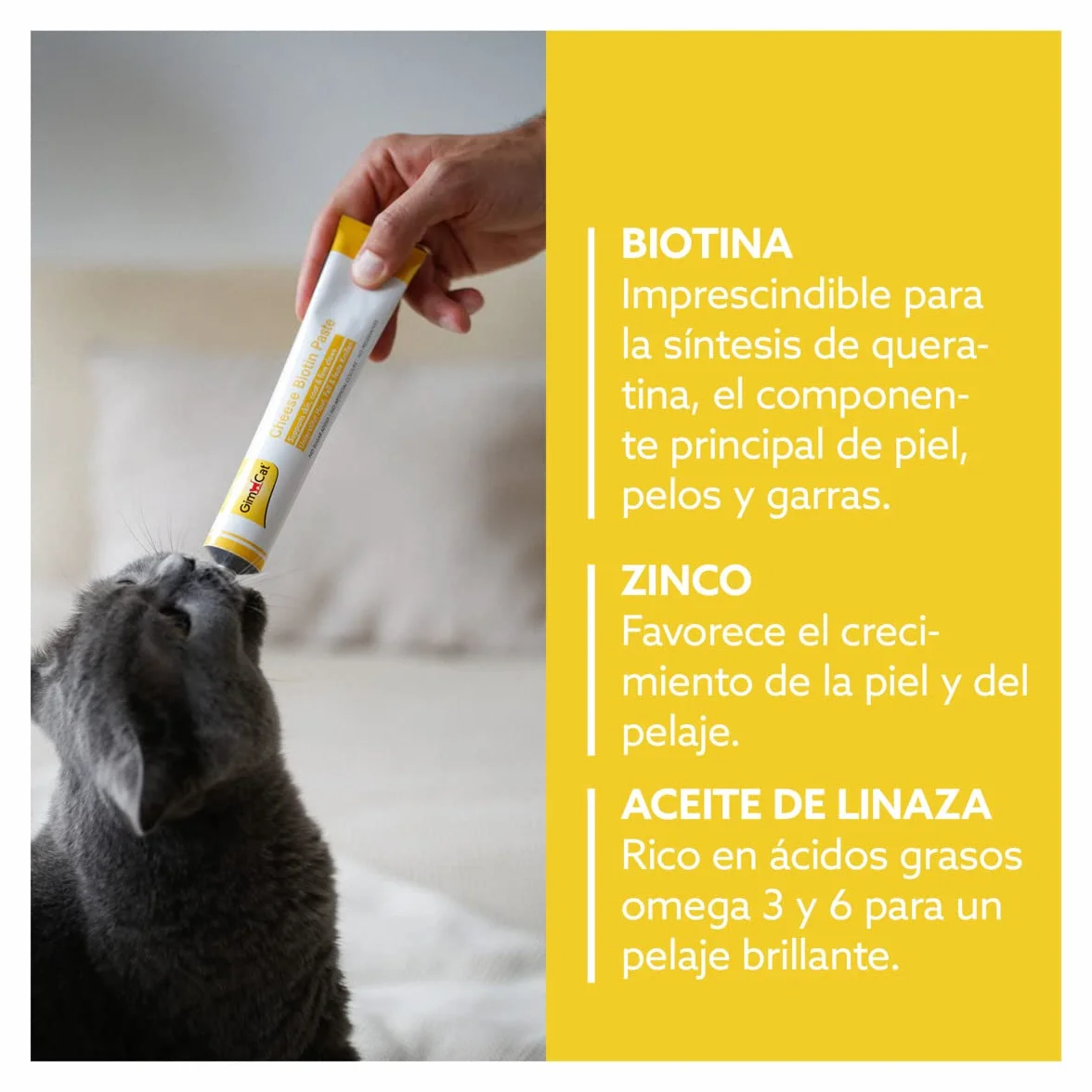 GimCat Cheese Biotin, pasta de queso con biotina - Con queso aromático, zinc y aceite de linaza para pelaje, piel y garras - 1 tubo (1 x 200 g)