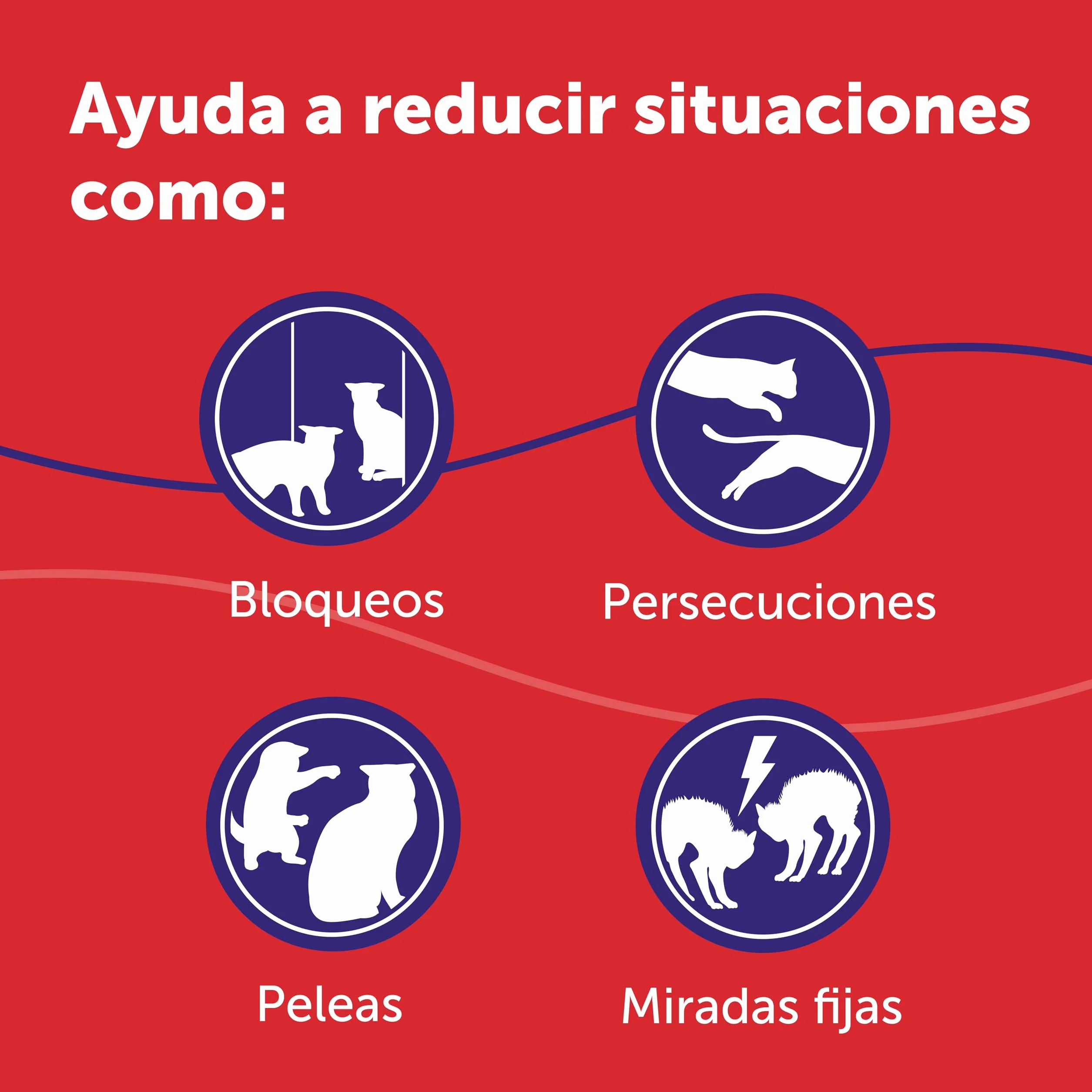 FELIWAY Friends - Pack Ahorro 3 recambios para 90 días (3x48ml) - Ayuda a crear armonía y a reducir conflictos entre gatos que viven juntos. Recomendado por veterinarios. Mejora la convivencia.