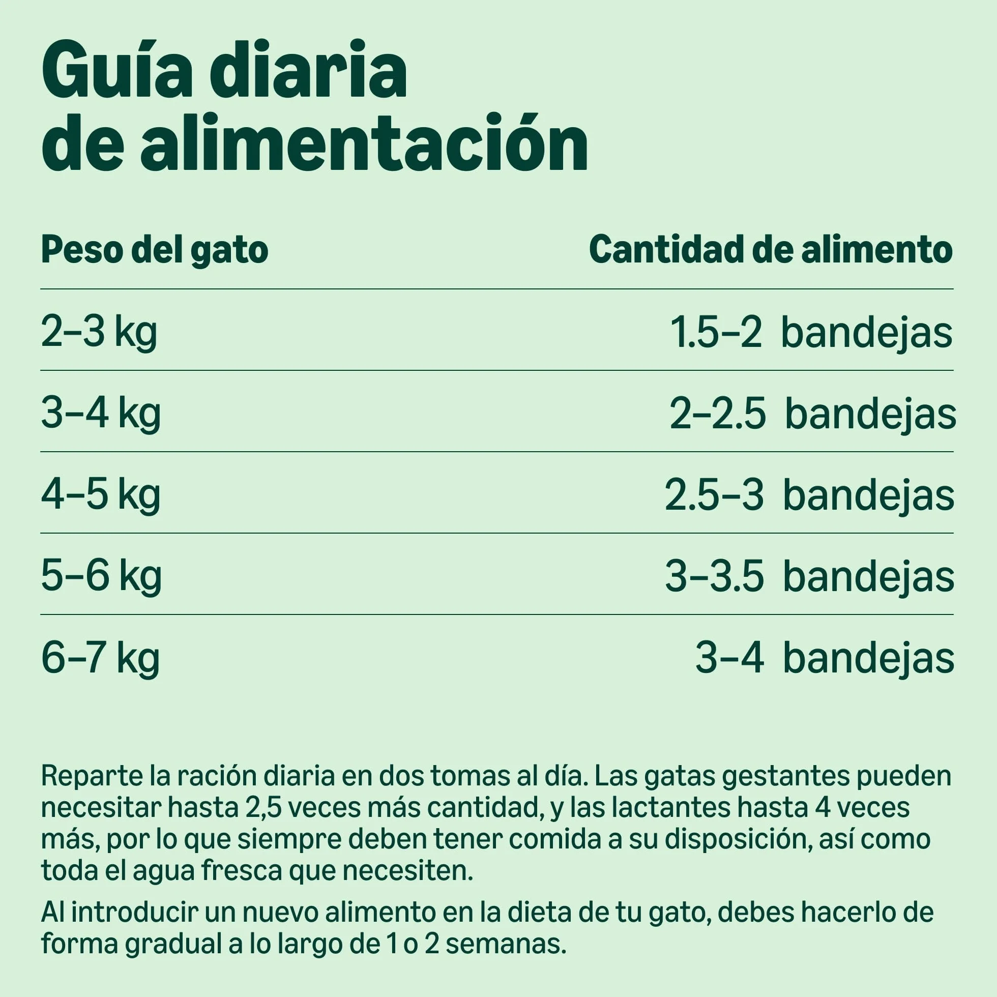 Comida Húmeda para Gatos by Amazon, Paté Mixto, 100g, Paquete de 32