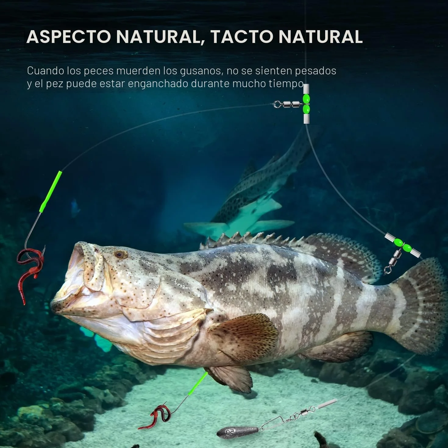 Plataformas de Pesca de Mar Anzuelos Púas Aleta Tamaños 1 2/0 para Platija