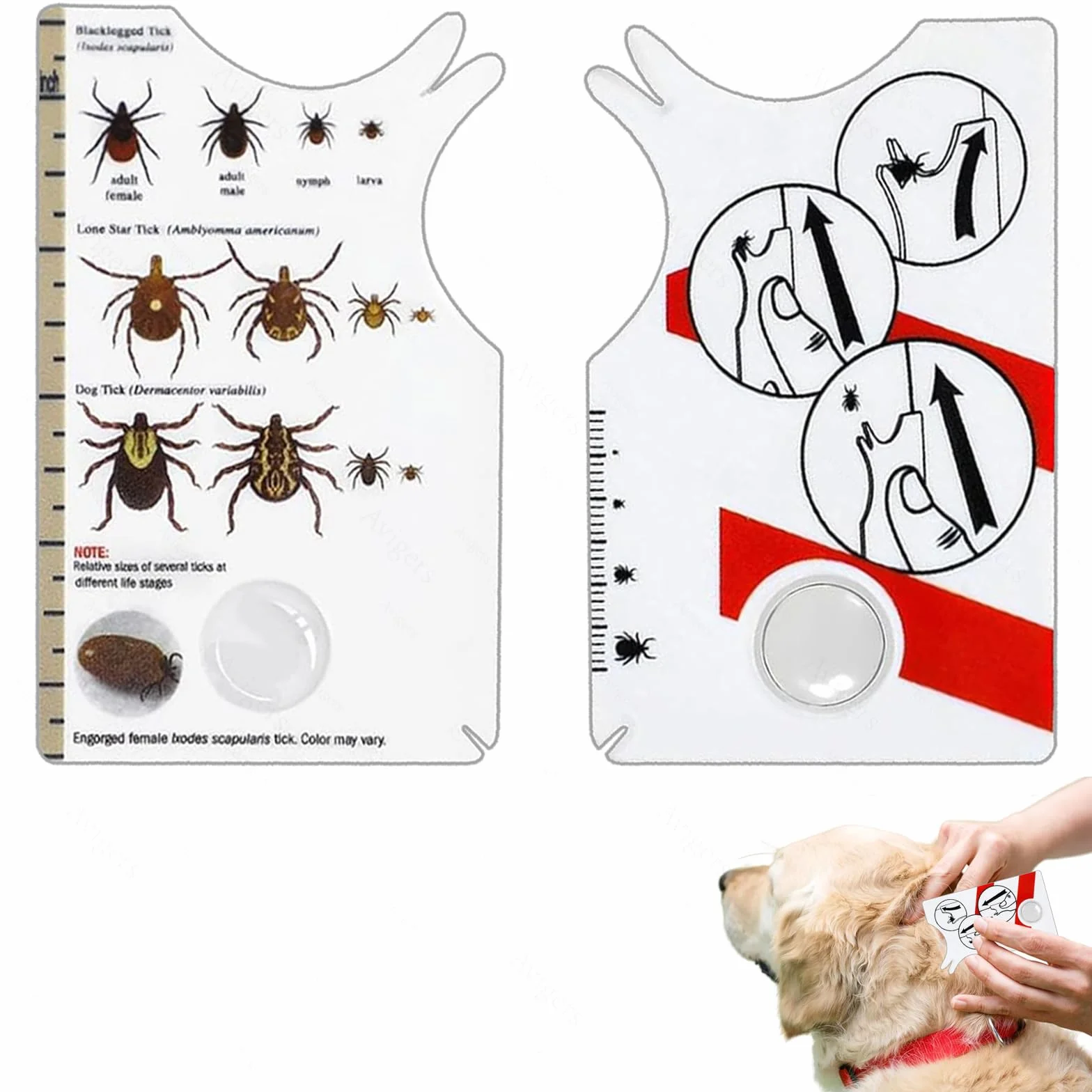 Avigers 3 tarjetas de garrapatas con lupa para humanos, niños, perros y gatos, tarjeta de garrapatas para personas al aire libre, camping y mascotas, tarjeta de tick para eliminar suavemente las