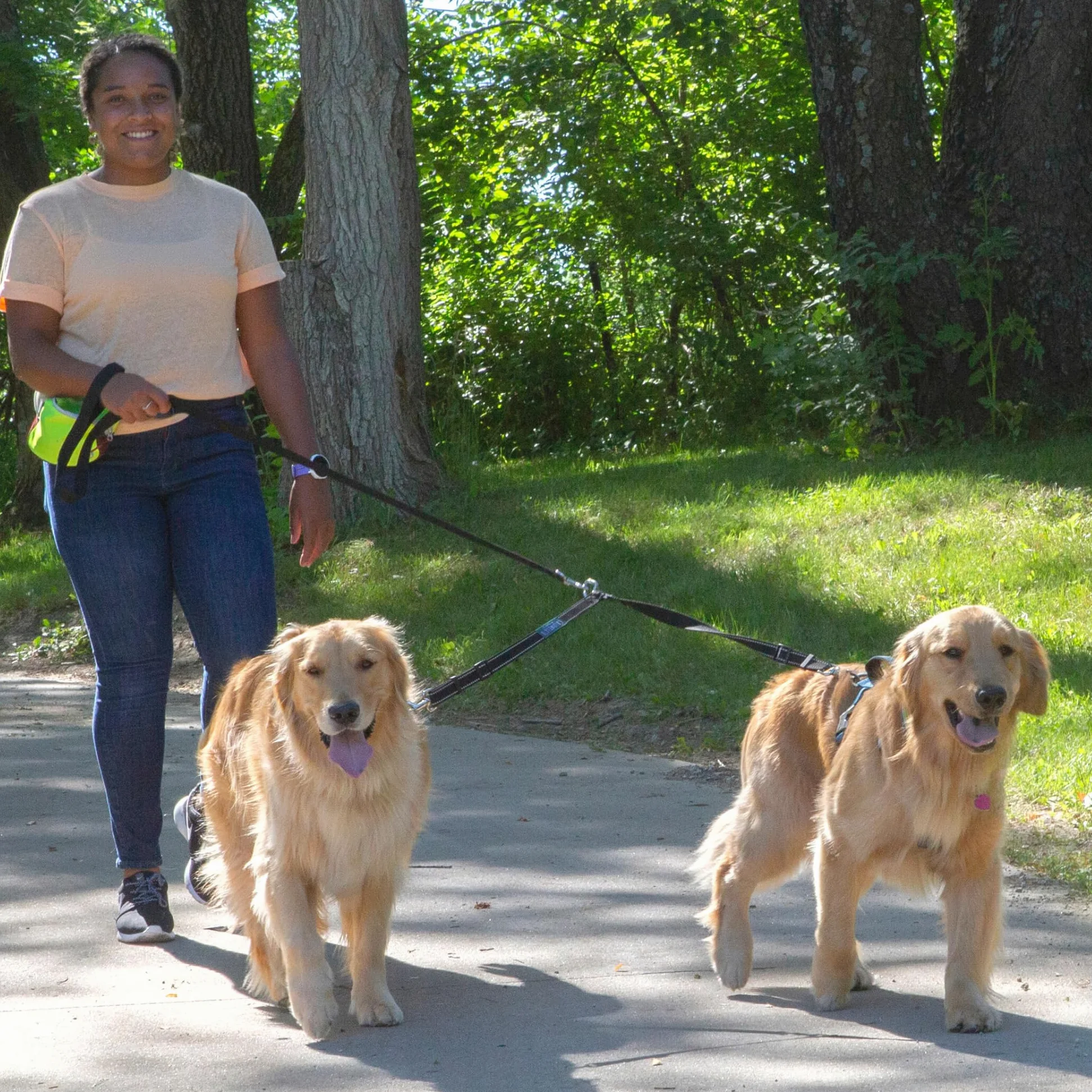 Caldwell's Pet Supply Co. No Perro enredo acoplador Correa de Perro, Perro Doble de Walker - Trainer Correa - Dos Perros Divisor Ajustable Resultado: 1 X 11-20 Pulgadas