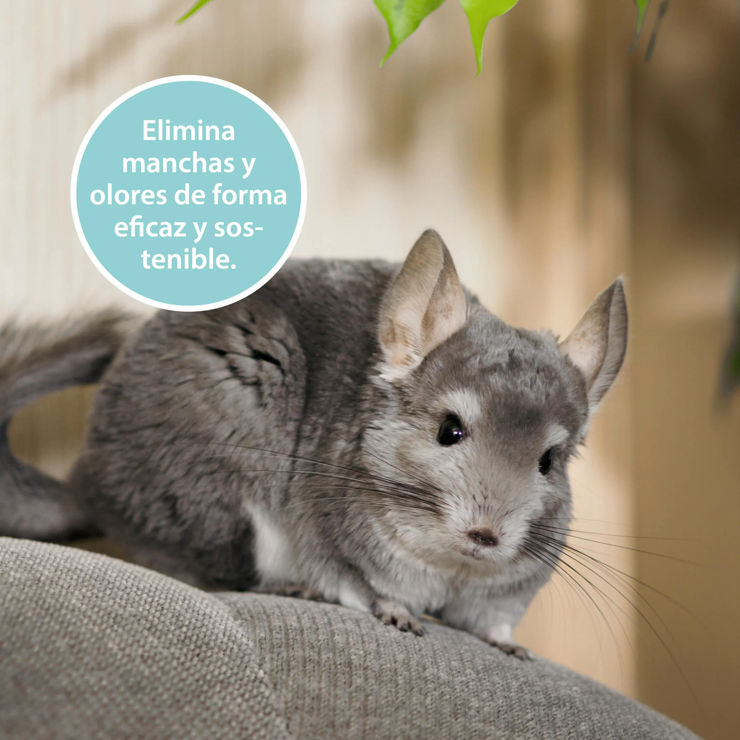 Limpiador jaulas roedores 750 ml – Spray enzimático Pipi-Stop de ARKA – Elimina orina, heces y olores de Animales – biológico, Seguro y eficaz – Ideal para jaulas, Suelos, Esquinas y casetas