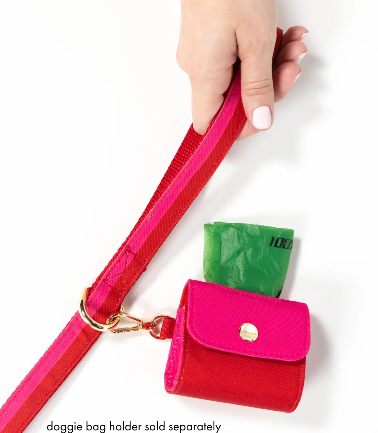 Kate Spade New York Correa de perro de 6 pies, correa resistente para perros hembras o machos, bonita correa para mascotas con herrajes de metal dorado, correa larga para perros para razas medianas y