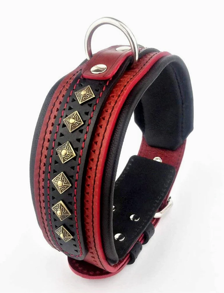Bestia '' Balteus '' Collar de Perro con Tachuelas de Cuero
