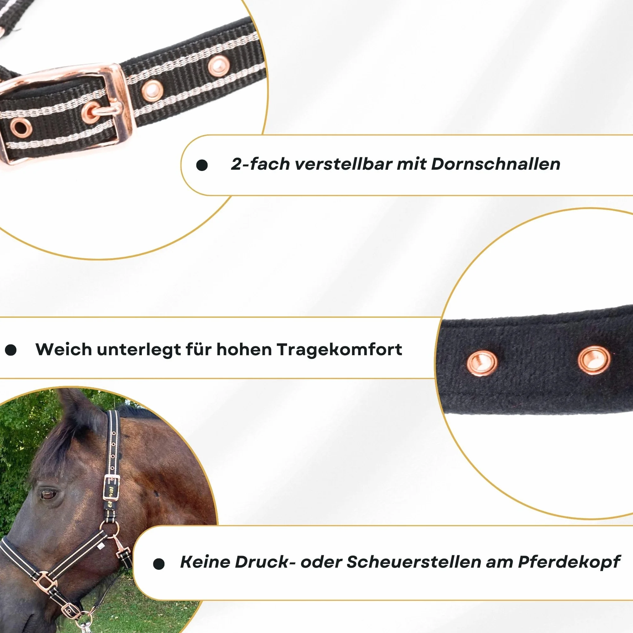 Cabestro para caballos con brillo en color oro rosa, cabestro para caballos en negro y rosa, ajustable en 2 posiciones (Negro oro rosa con cuerda, sangre caliente (completo))