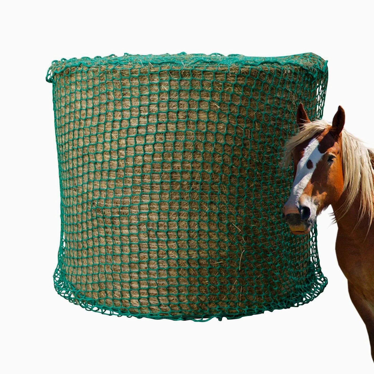 Red para Heno Bolsa de Alimento para Caballos | Bolsa Comedera Heno Cabras Establos Paddocks Entrenadores Instructores Veterinarios Escuela Equitación Ranchos Granjas