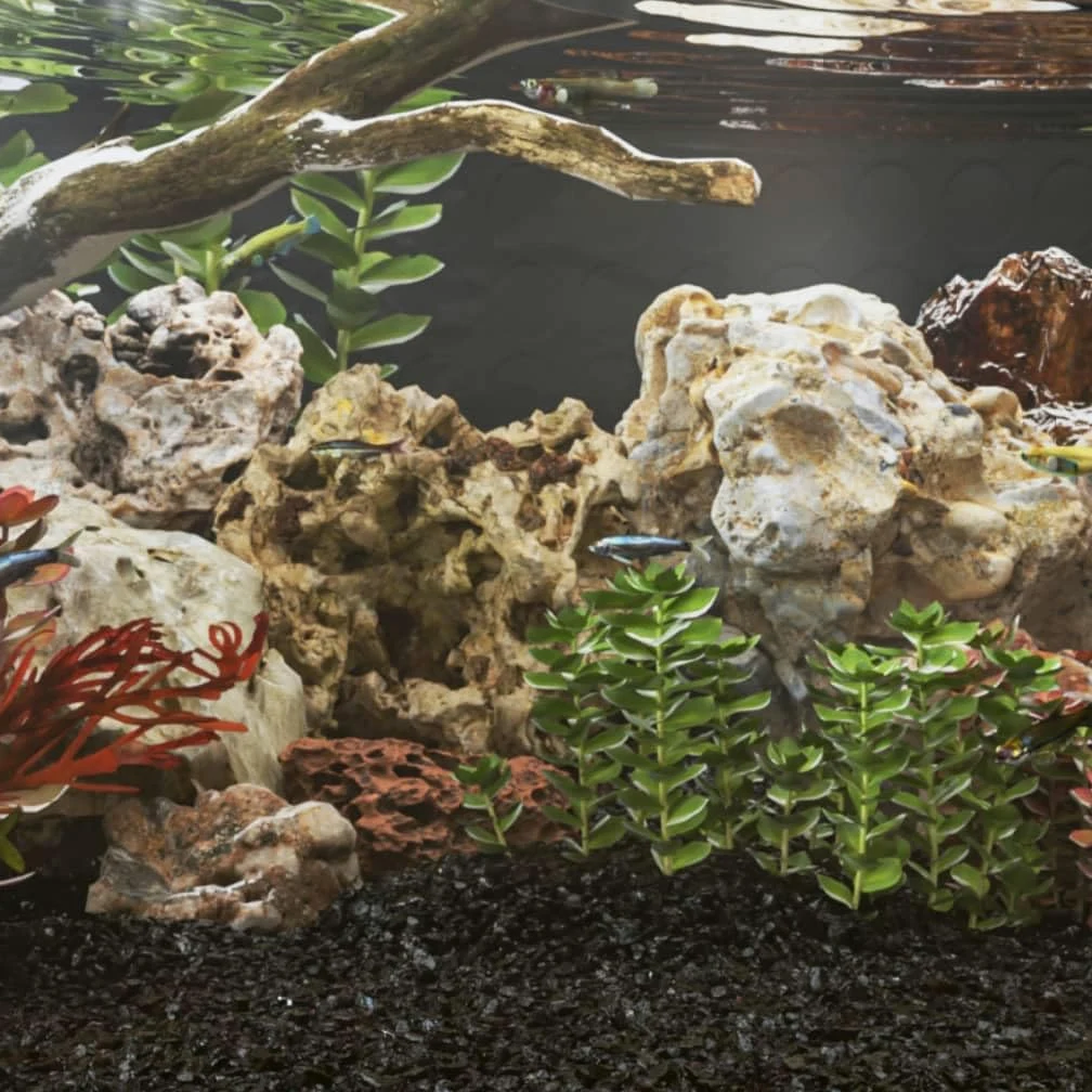 Genérico Piedras de dragón Mezcla de Colores 25 kg 10-30 cm,Producto para Mascotas y Animales,Productos para Mascotas,Productos para Peces,Decoración de acuarios-155308