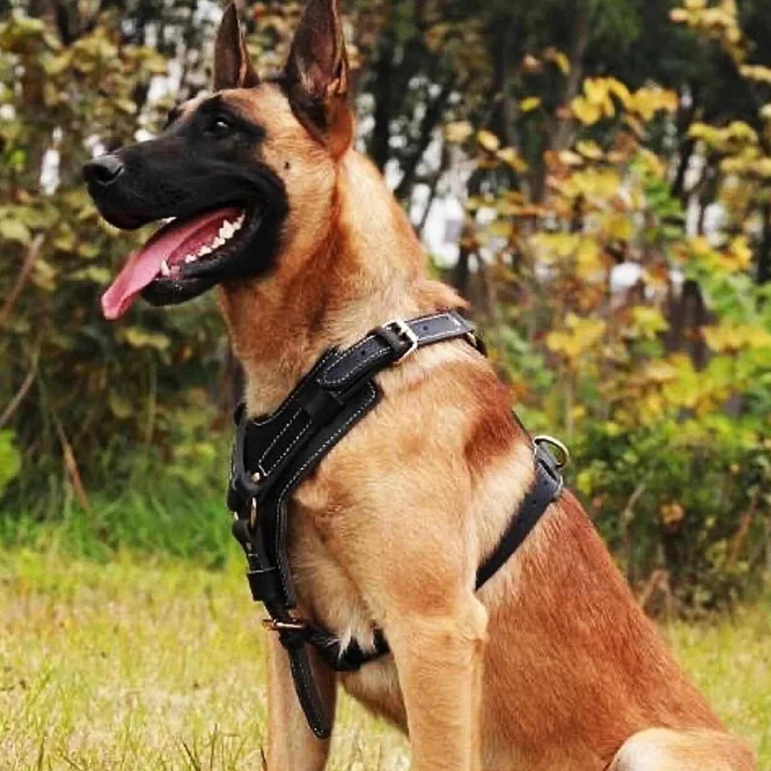 Durable Arnés del Perro Perros Grandes Arneses De Cuero Genuino Chaleco De Adiestramiento con Asa De Control Rápido para Labrador Pitbull(Size:L)