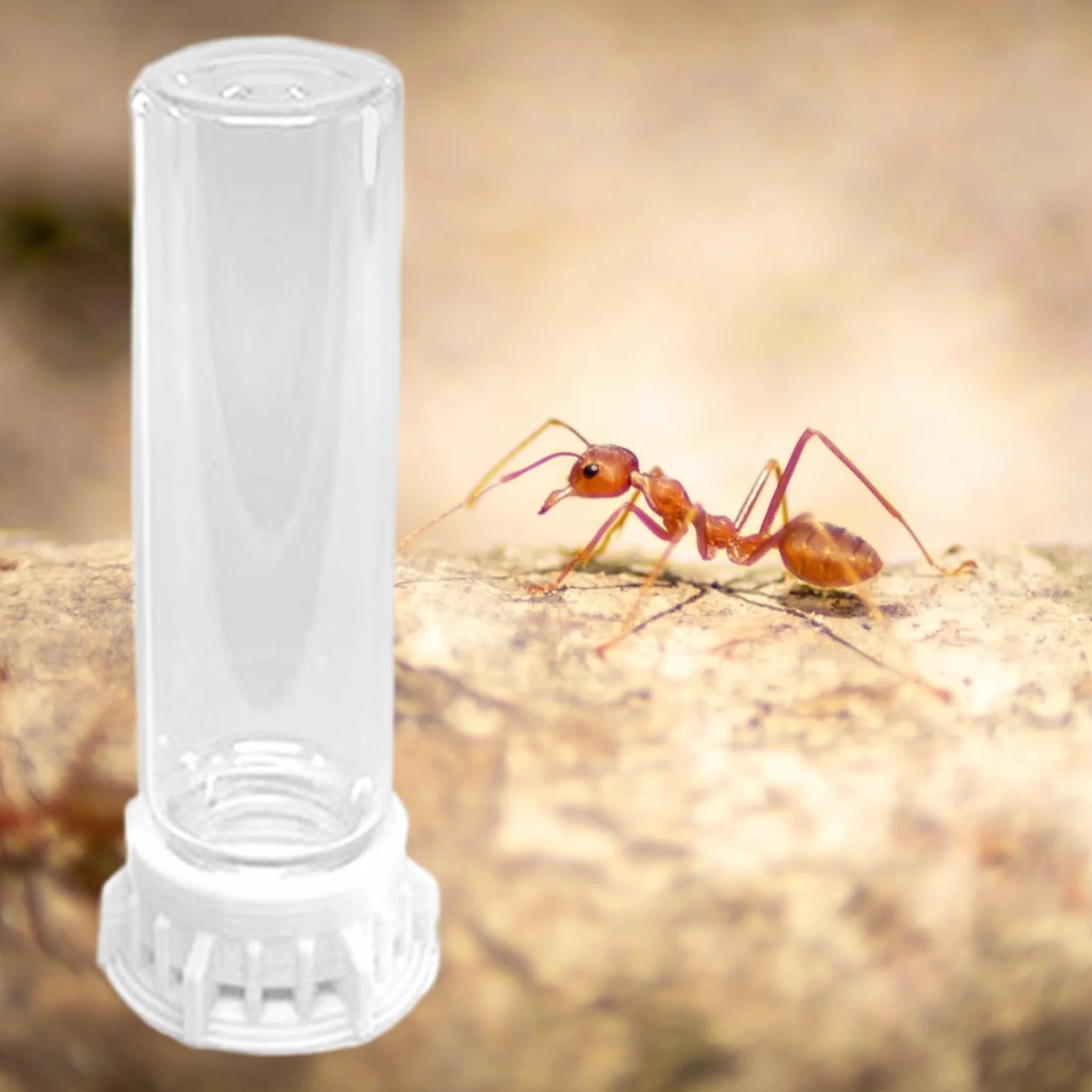 Dispensador De Agua para Hormigas,Bebederos Transparentes para Hábitat De Mascotas - Estación Antideslizante Y Antifugas para Hormigas Y Otras Criaturas Pequeñas
