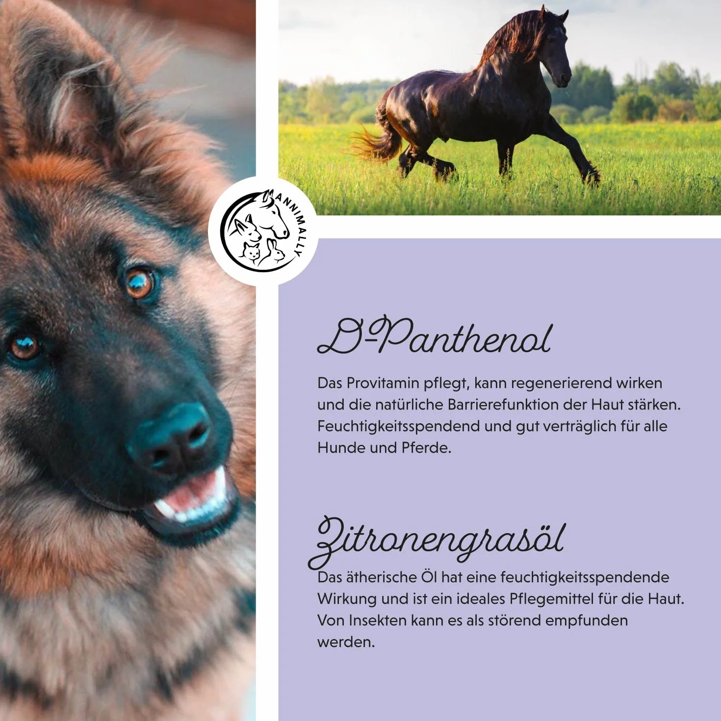 Annimally Spray para Crines para Caballos 500ml - Spray para Cola y Spray para Desenredar para Caballos y Perros, para un Desenredo más Fácil y un Brillo Sedoso del Pelaje