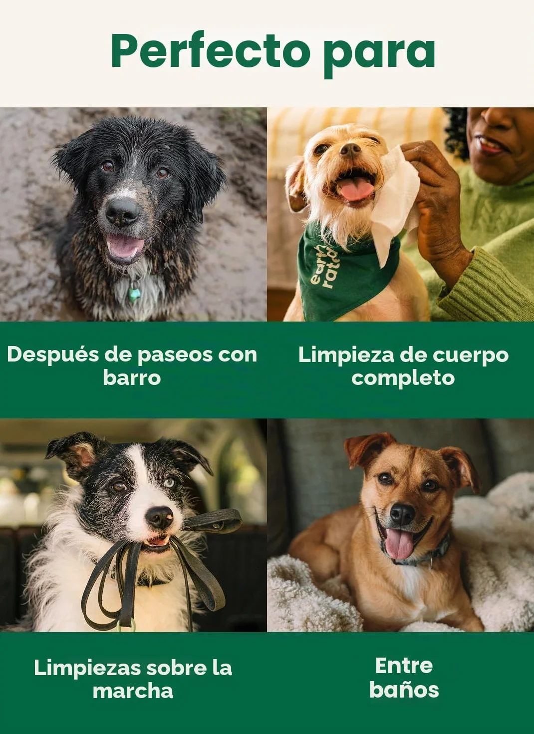 Earth Rated Toallitas hipoalergénicas para Perros, para Limpiar y Eliminar olores de Patas, Cuerpo y Trasero, Cachorros y Perros Adultos, Aroma a Lavanda, 100 Unidades