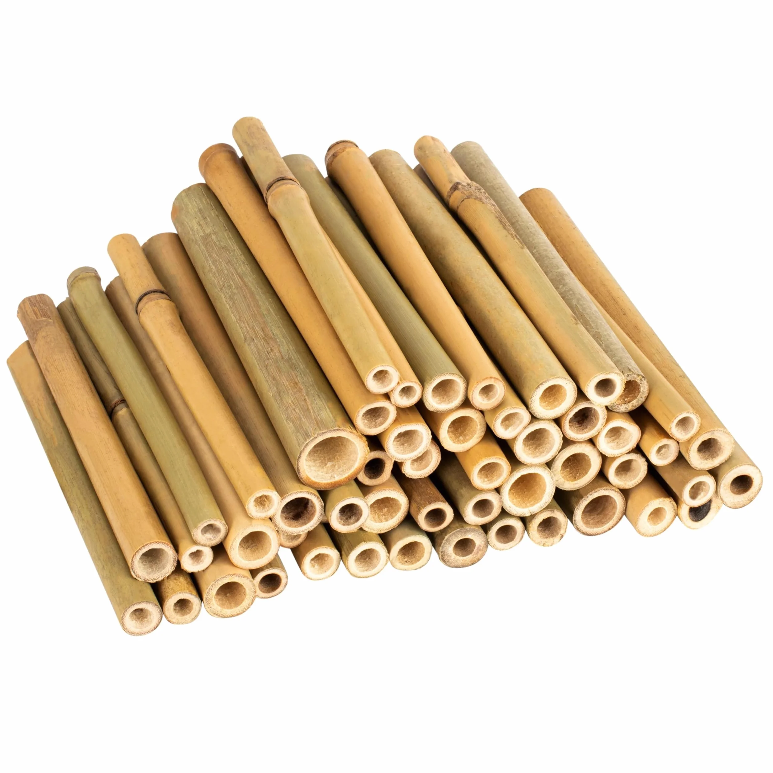 GARDIGO® Tubos de bambú para Hotel de Insectos, 150 Unidades, Tubos de anidación de bambú para Abejas Silvestres, Accesorios para casa de Insectos, Hotel de Abejas, casa de Abejas Silvestres, caña de