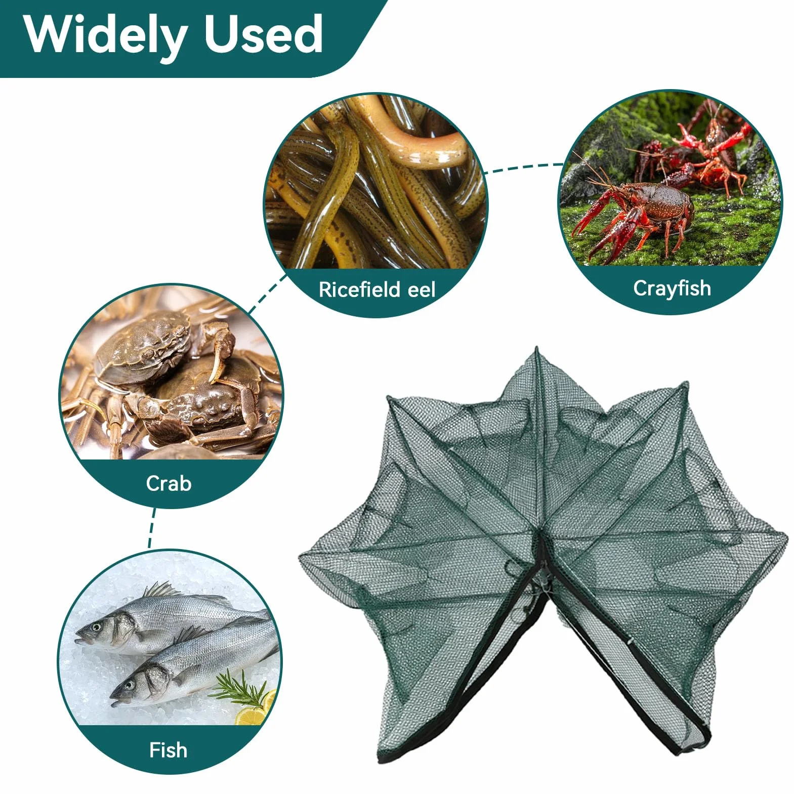 Cyrank Trampa de 6/12 Agujeros Red de Pesca Plegable para Cebo de Cangrejos