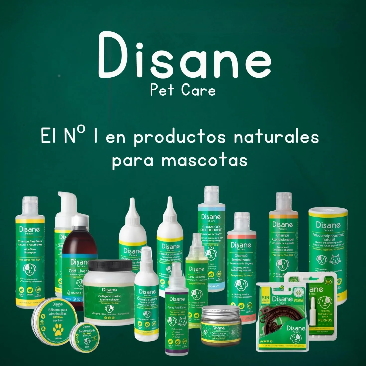 DISANE Collar Antiparasitario para Gatos 100% Natural | 3 Meses de Protección Contra Insectos y Parásitos: Repelente de Pulgas, Garrapatas y Mosquitos | Collar Antipulgas Gato Adulto y Cachorro