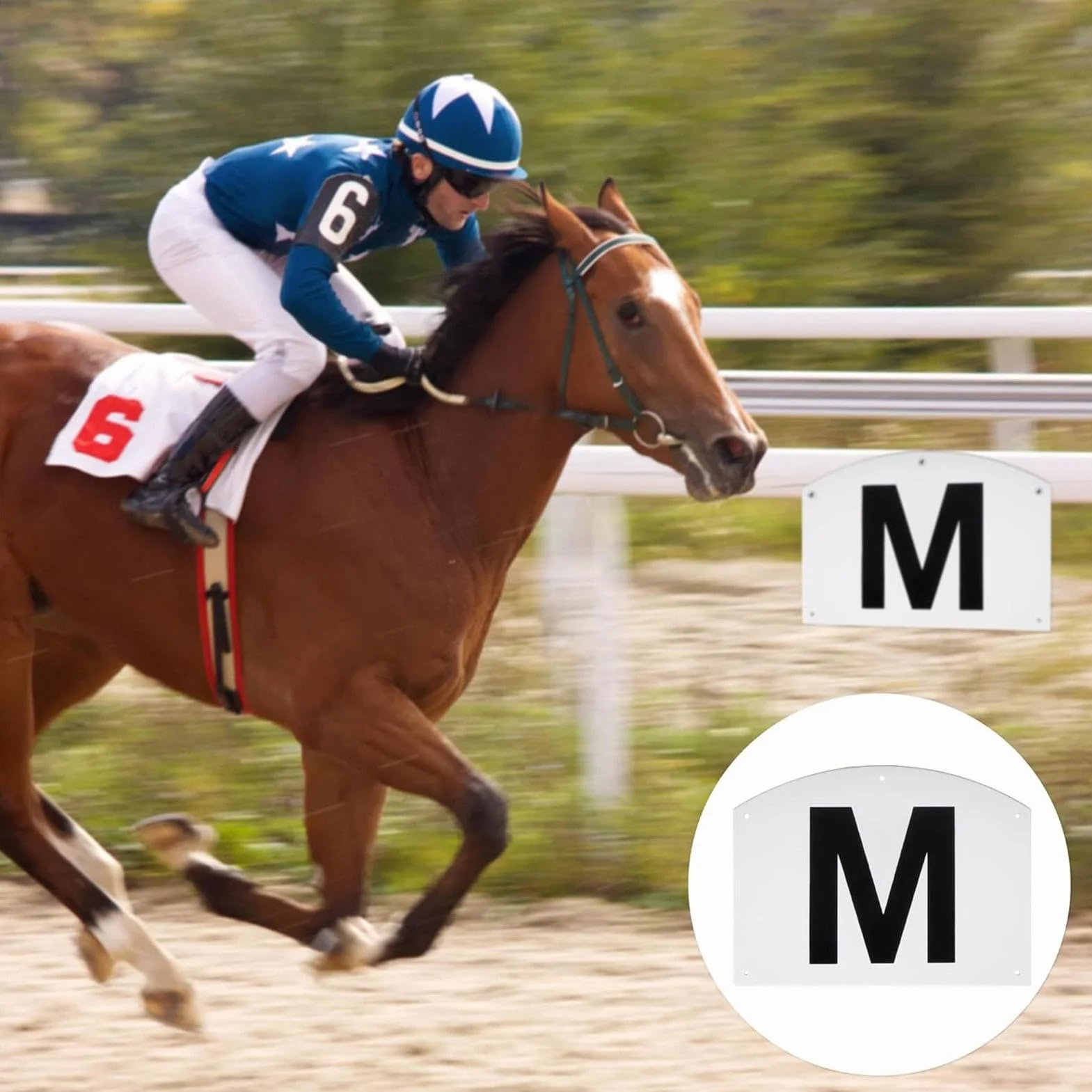 Genérico Marcadores Letras Clásica | 8 Paneles Entrenamiento Caballo Montaje Valla, 20x27cm | Letras Pista PP para Práctica Equitación | Placas Identificación Obstáculos para Jinetes