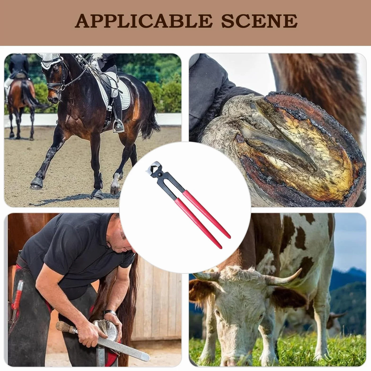 Tenazas Cortacascos para Caballos - Herramientas De Herrador Para Ganado | Recortadores para Caballos, Reparación de Herraduras, Alicates y Suministros para Pezuñas de Vacas, Ovejas y Granjas