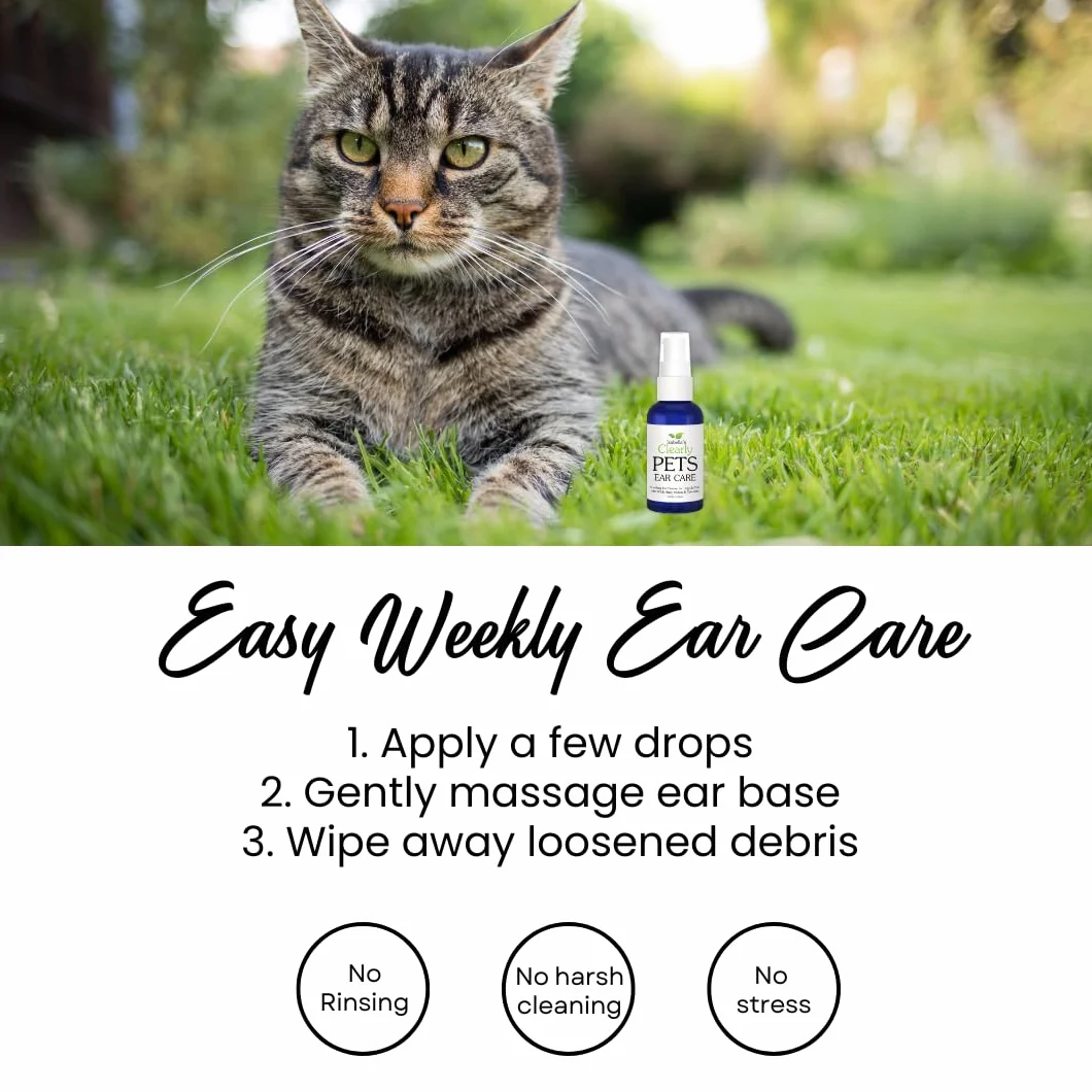 Isabella's Clearly Aceite natural para orejas de perros y gatos para eliminar la cera y aliviar el picor con caléndula, hamamelis y gordolobo