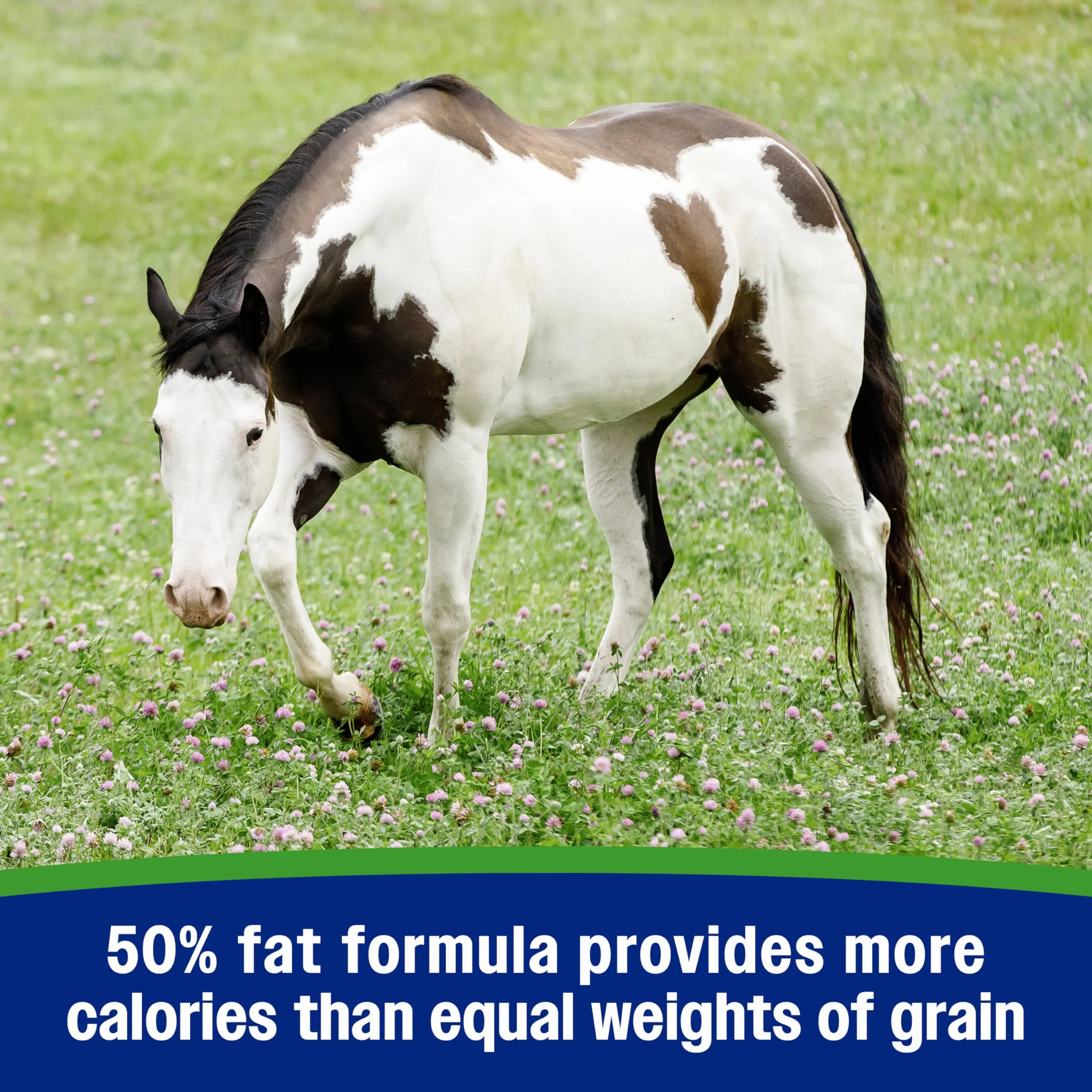 Farnam Weight Builder - 3,4 kg