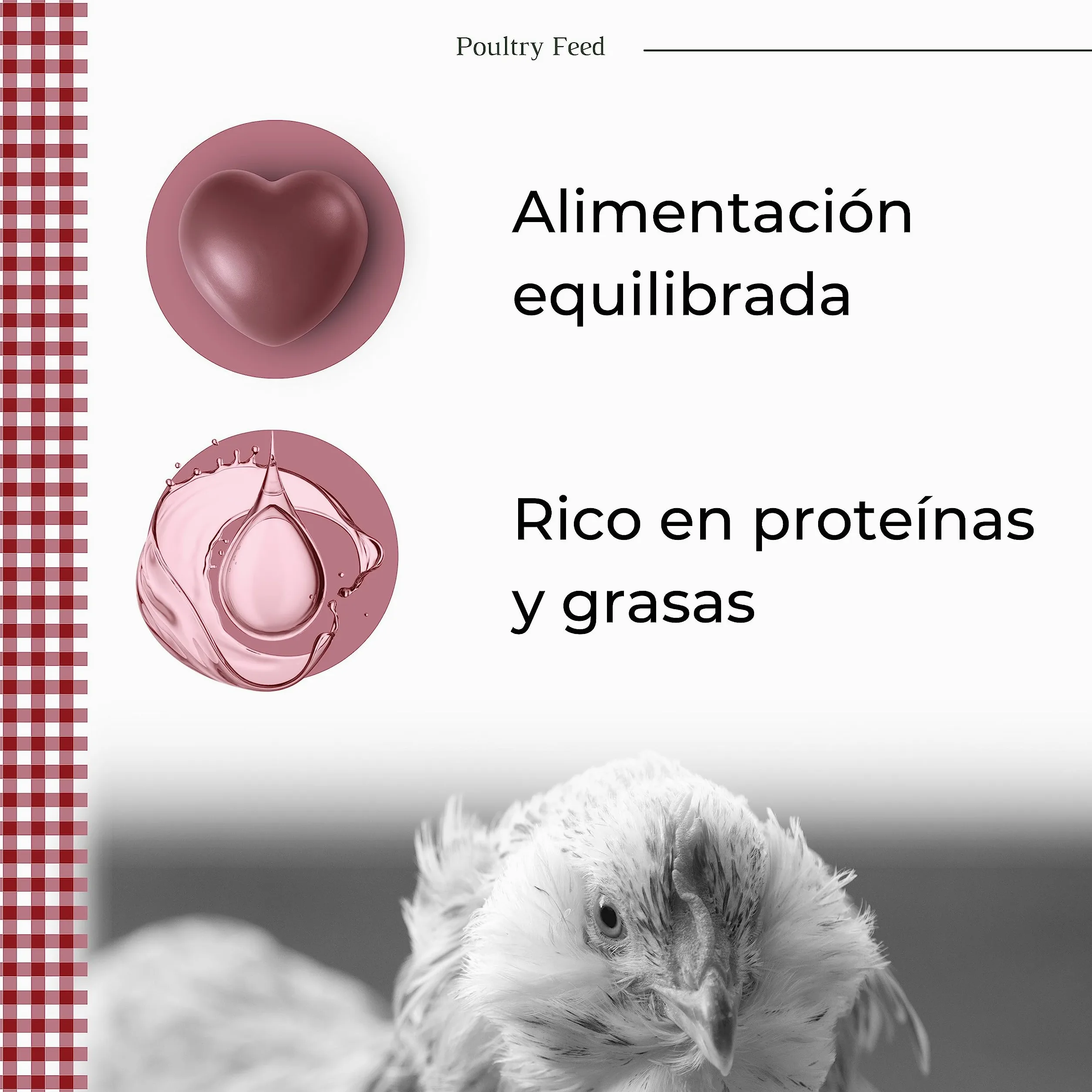 Pienso para Gallinas Ponedoras y Ornamentales | Alimento con Fórmula Exclusiva | Poultry Feed Saco 25 kg | Rico en Proteínas y Grasas Saludables para un Plumaje Vistoso (Pack 6)