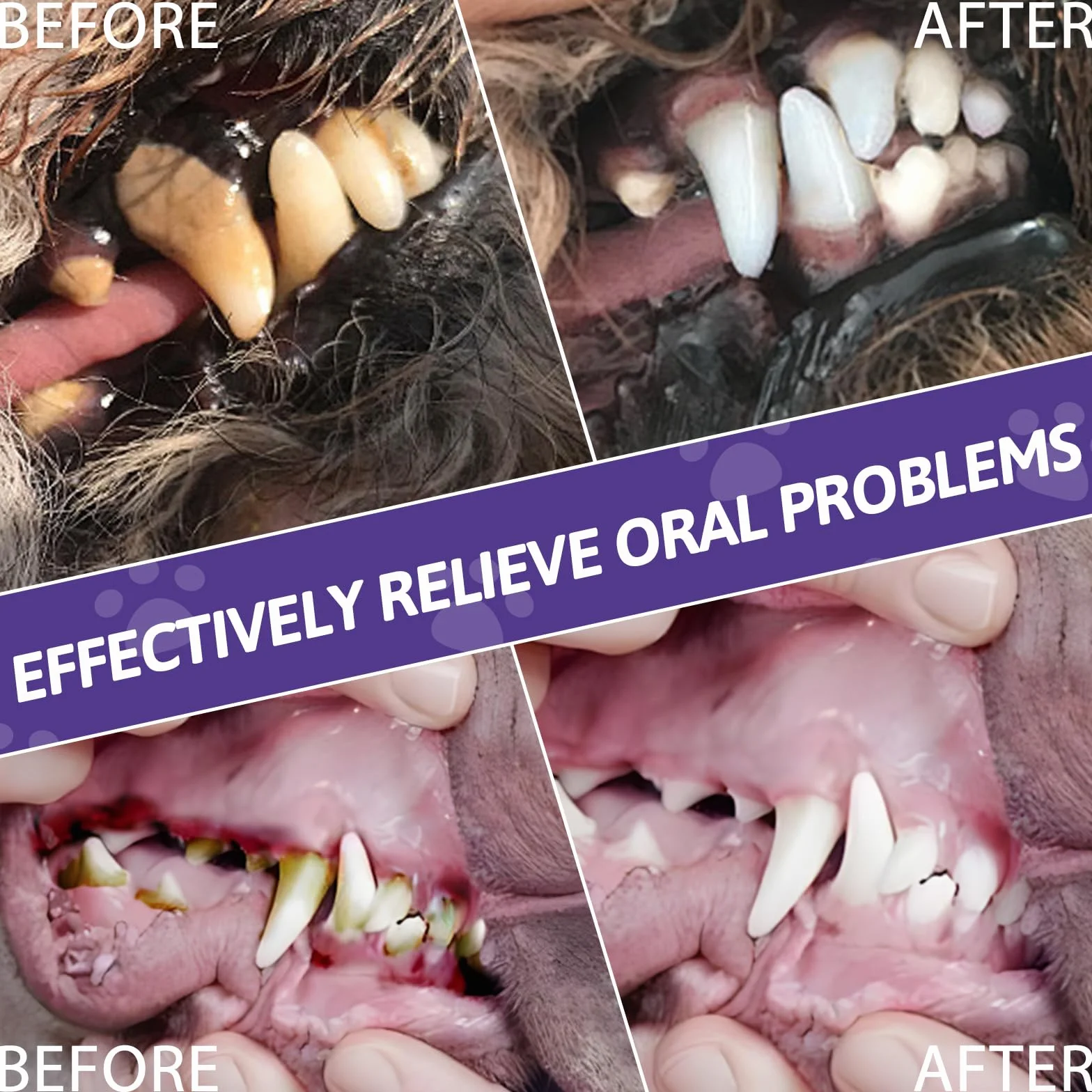 3 Piezas Pet Oral Repair Gel, BolíGrafo para El Cuidado Bucal De Mascotas, PortáTil La Limpieza Dental, BolíGrafo El Aseo Diario De Mascotas, para Gatos Y Perros