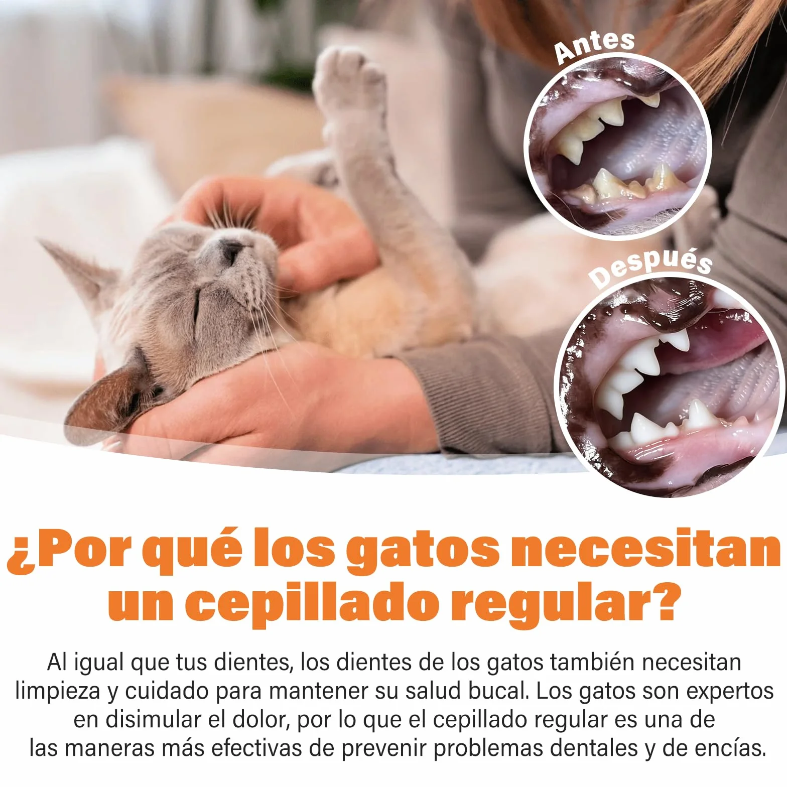 UNEK Kit de cuidado dental para gatos – Pasta de dientes enzimática 30 g sabor salmón, con cepillo de dientes y cepillo de dedo, ayuda a reducir la placa y el mal aliento
