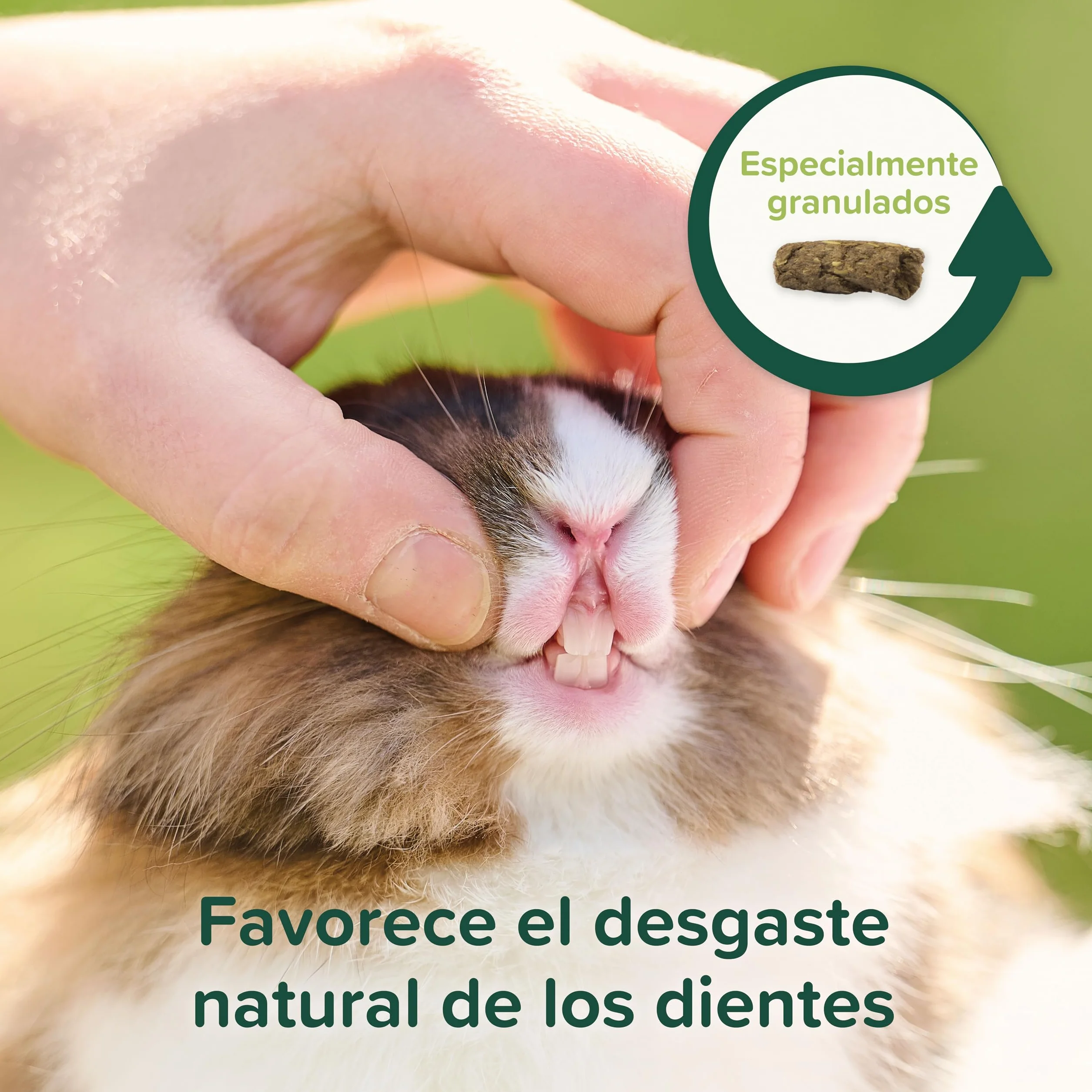 Beaphar Care+® Nature Conejo - Alimento Natural para Conejos sin Cereales, Rico en Fibra y heno Timothy - pellets Todo en uno - 1,5 kg