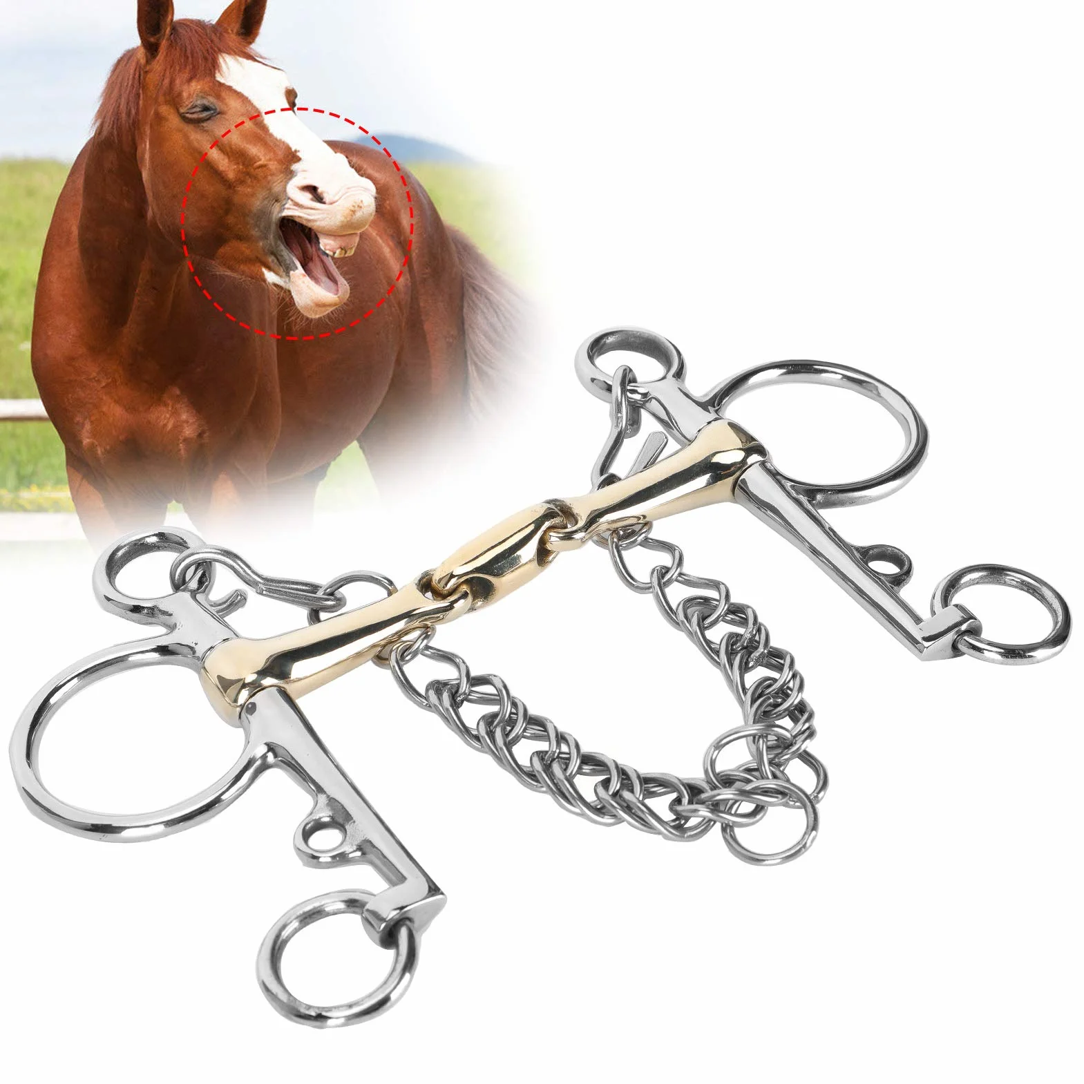 Pelham, acero inoxidable Pelham, broca Pelham de boca articulada, broca para caballo, accesorio para broca Pelham de acero inoxidable