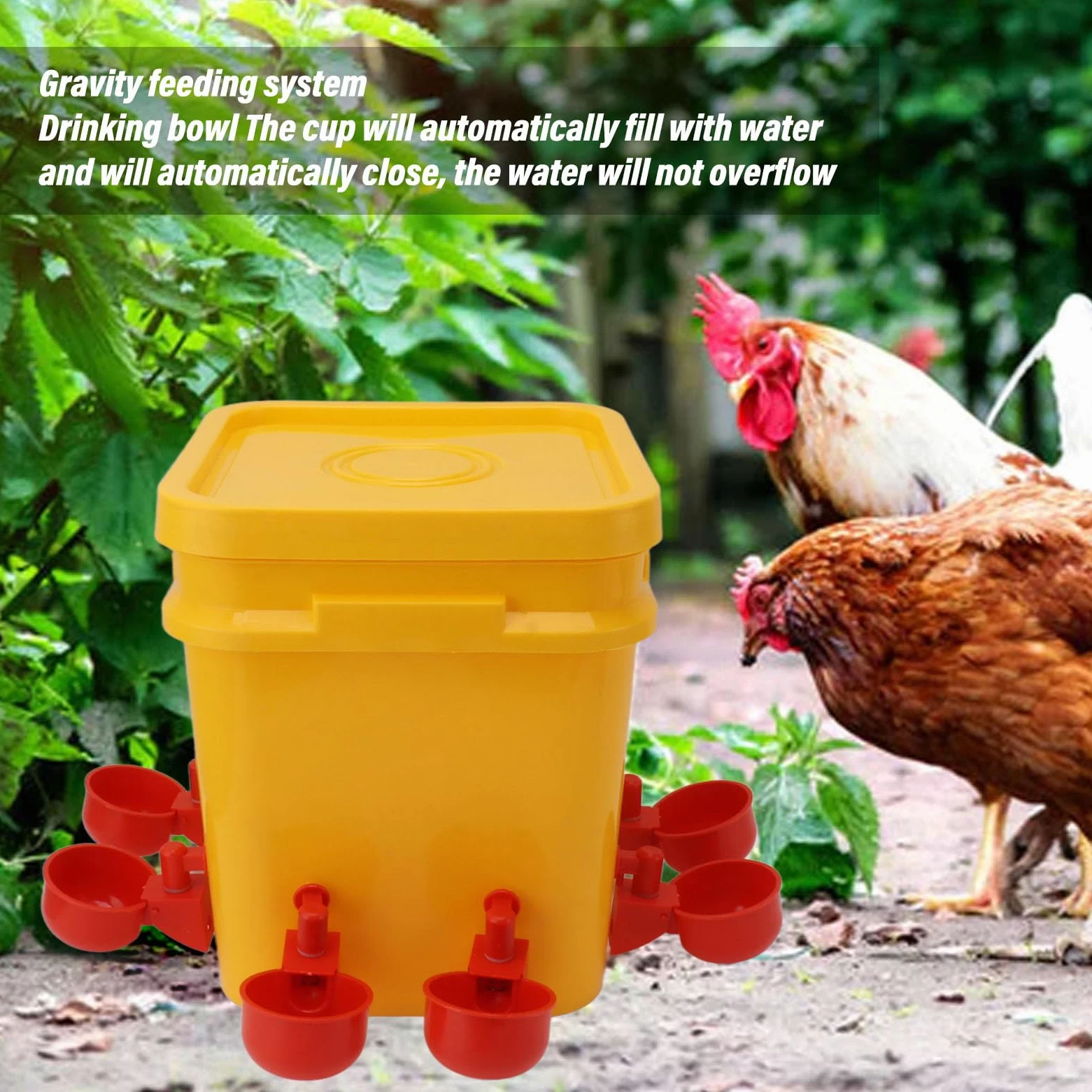 Bebedero Automático para Pollos, Equipo para Beber, Bebedero para Aves de Corral, Ganso, Pato, Barril, Taza para Cría de Pollos, Bebederos (Cubo + Tazón Azul Grande + Tornillos