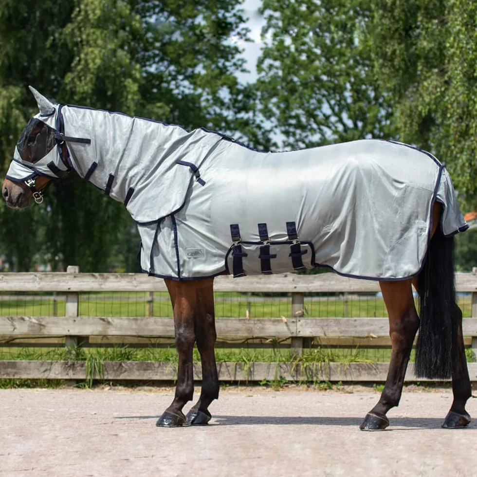 QHP – Manta antimoscas para caballo con sombrero y cuello, 3 cinturones en el viente y cierre frontal