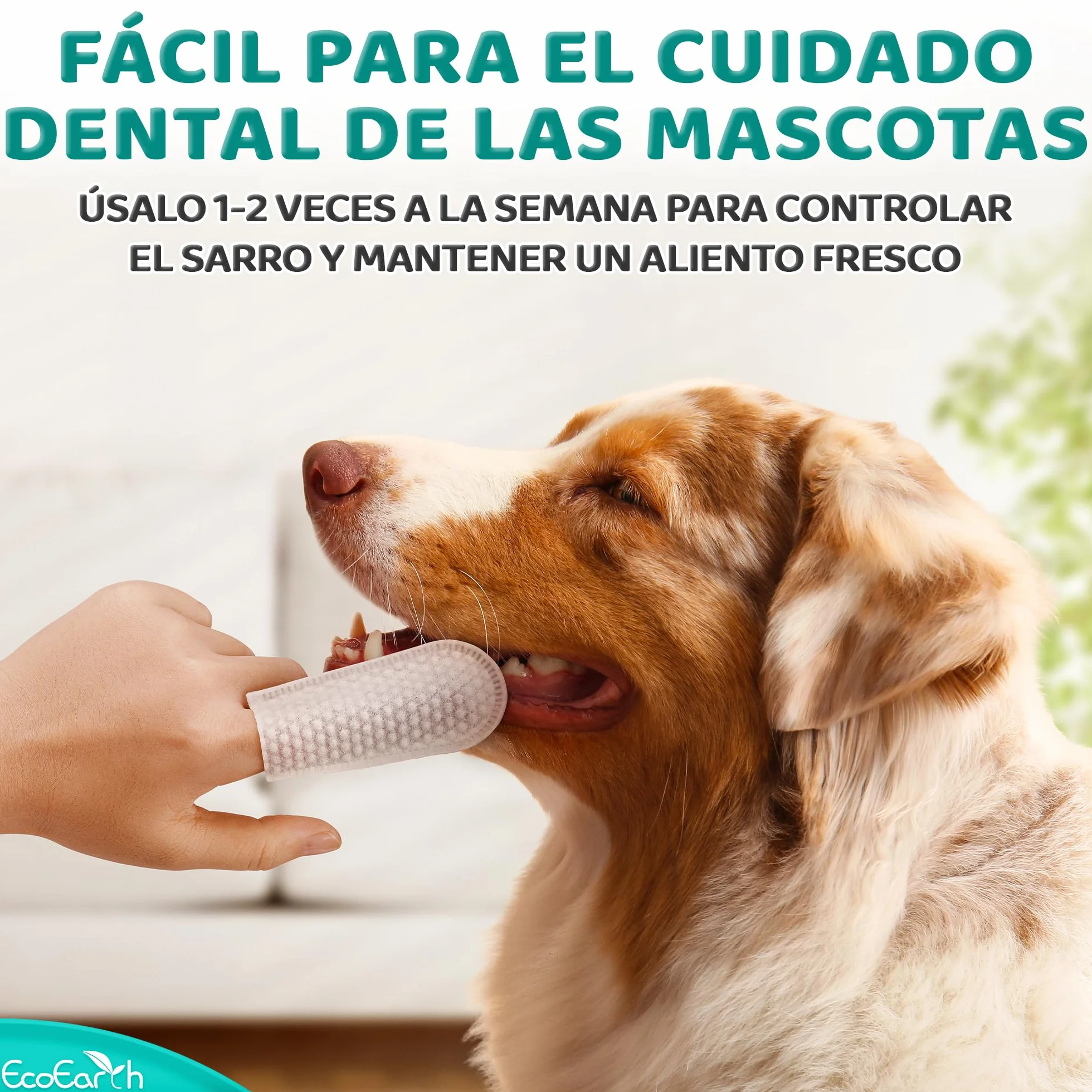 EcoEarth Toallitas de Limpieza Dental Premium para Perros y Gatos - 100 Piezas - Almohadillas para los Dedos para el Cuidado Dental de Mascotas para un Aliento Fresco y una higiene bucal