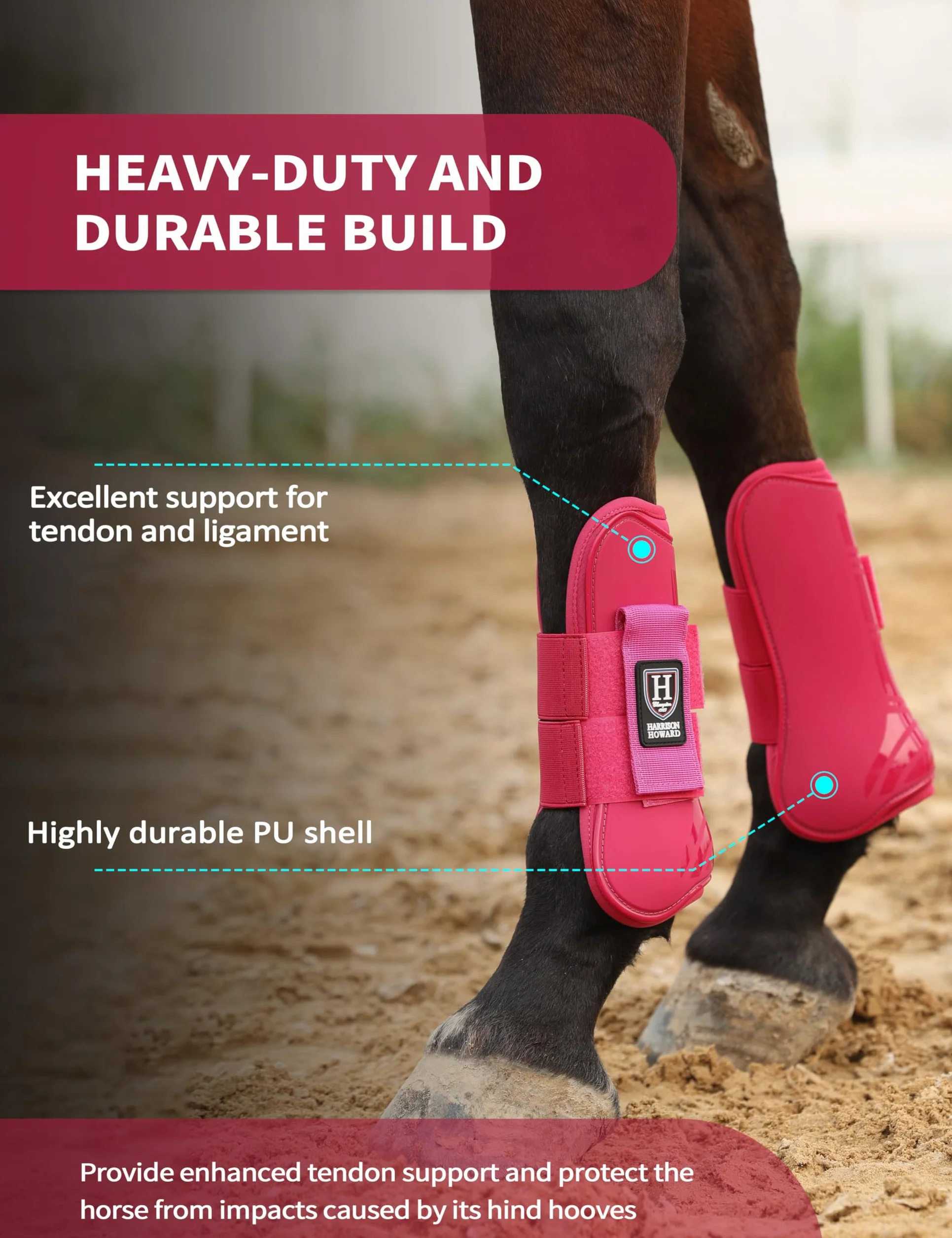 Harrison Howard Botas de tendón de caballo con parte delantera abierta, botas protectoras para caballos para saltar, montar en senderos, juego de 4