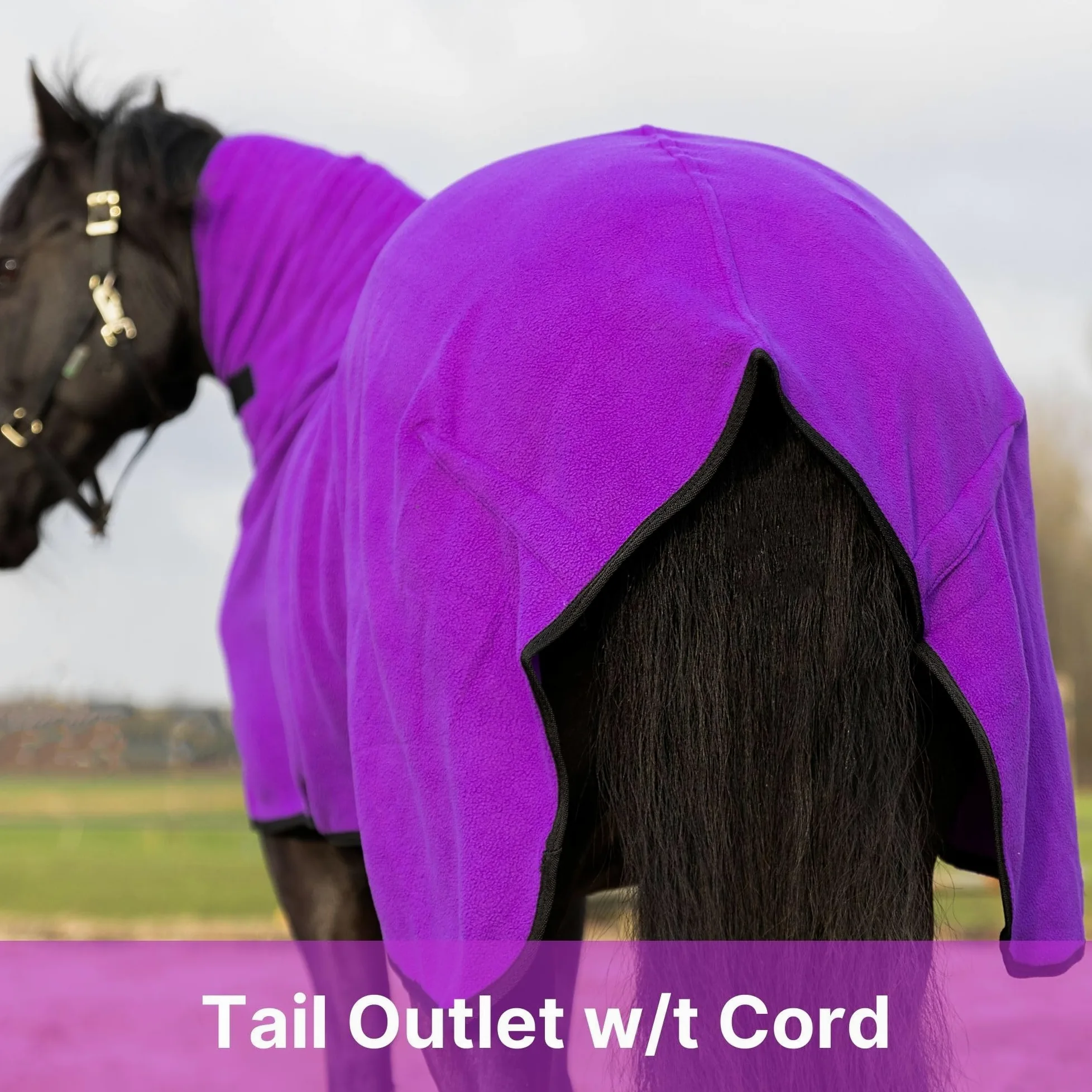 RESISTANCE Enfriador de contorno de forro polar suave de larga duración y cálido para caballo (XL (80-82 pulgadas), morado