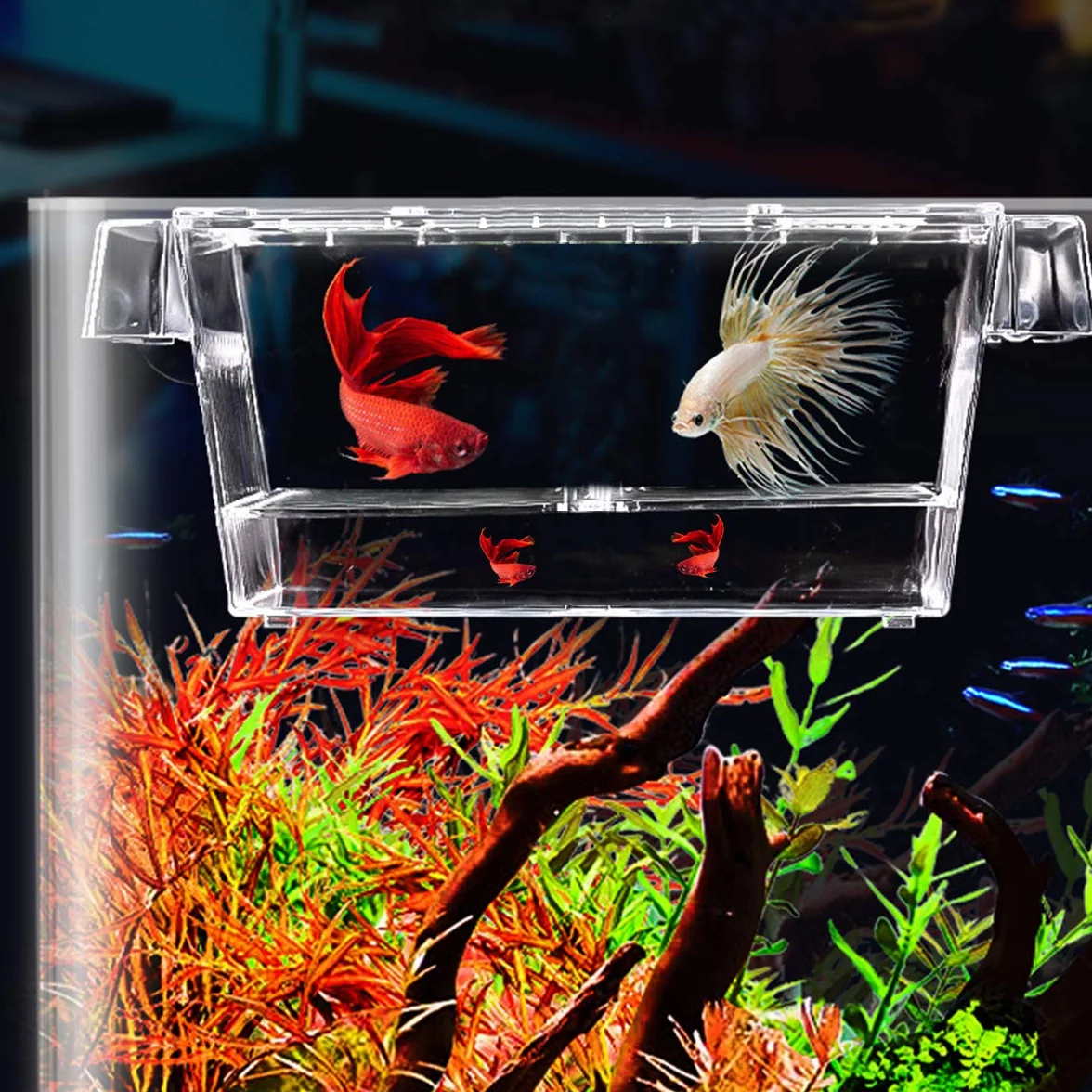 Incubadora para Peces Caja de Cría Peceras Pequeña Acuarios Accesorios con Tapa de Plástico Ventosa Caja de Plástico Transparente para Camarón Tortuga